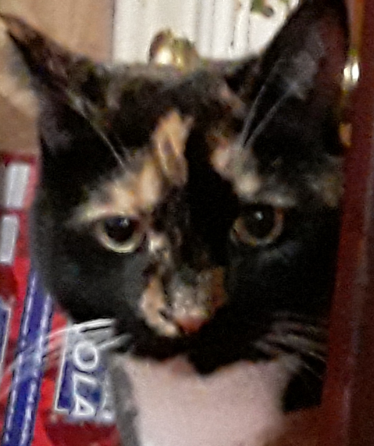 20201013 151418