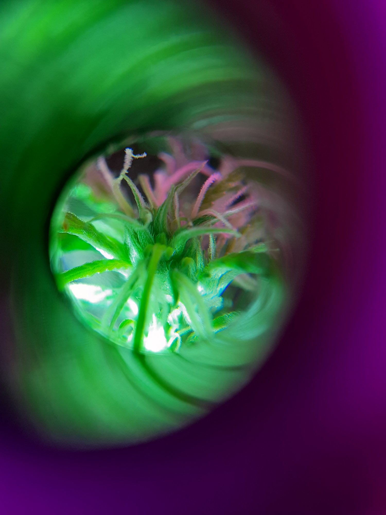 20201017 001952