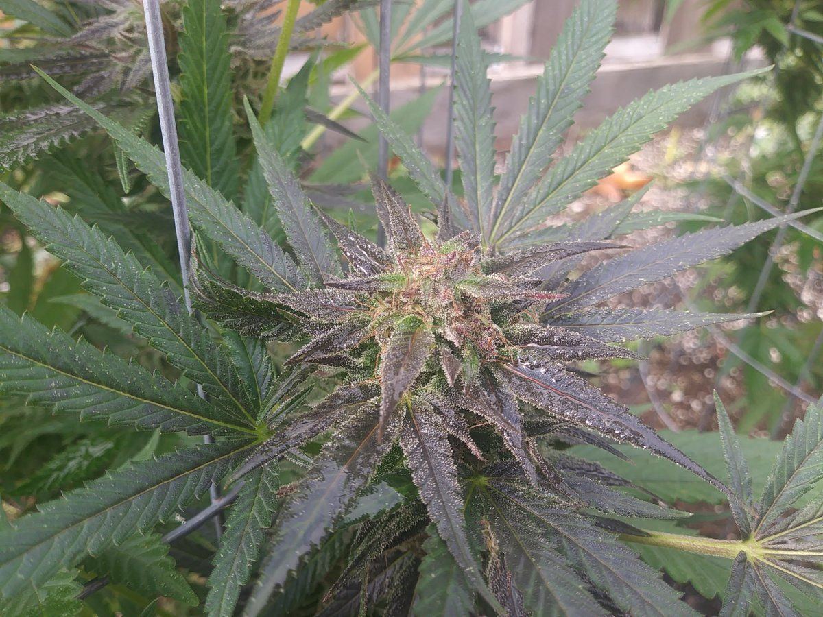 20201017 124848