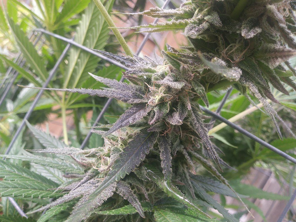 20201017 124907