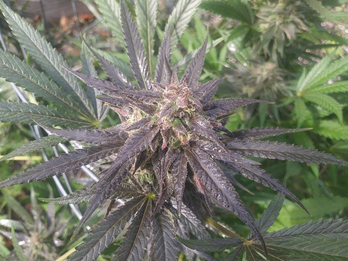 20201017 125055