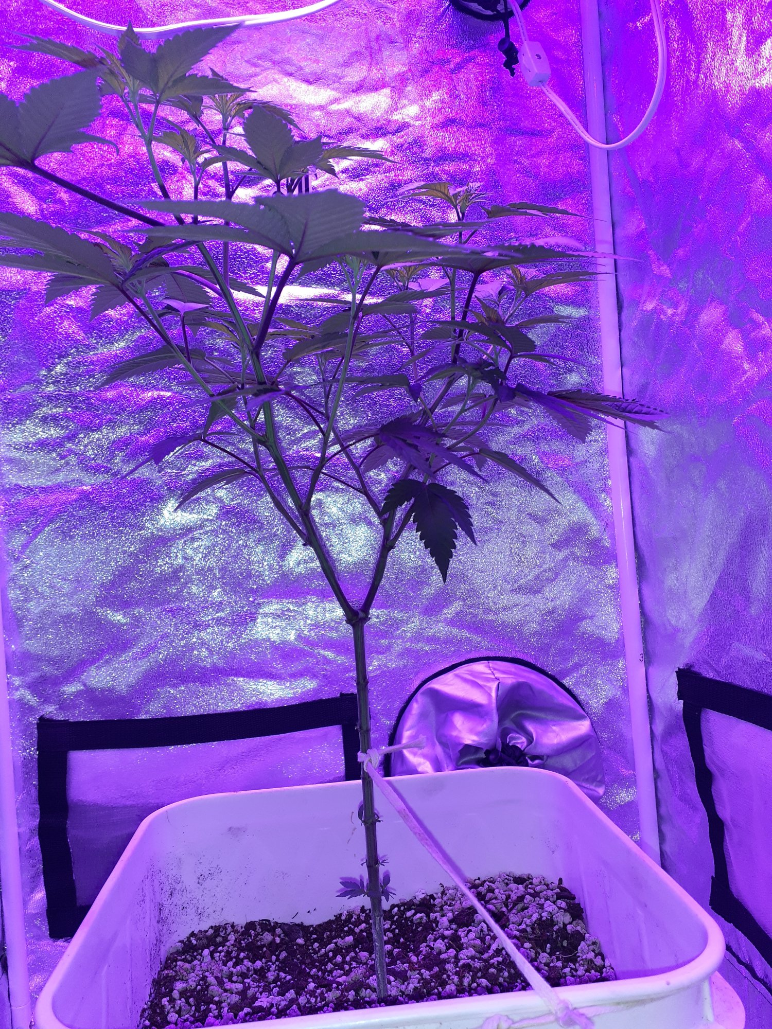 20201017 125340