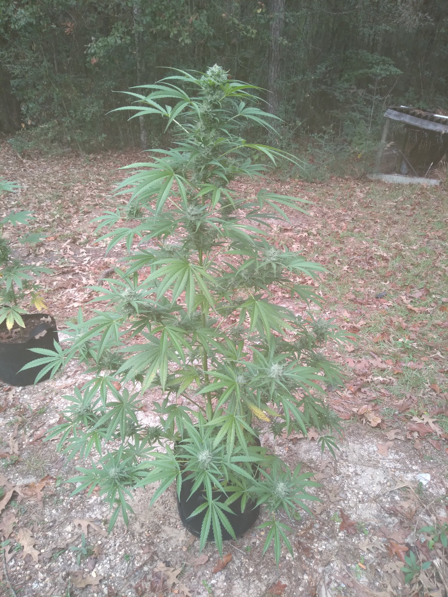 20201021 090811