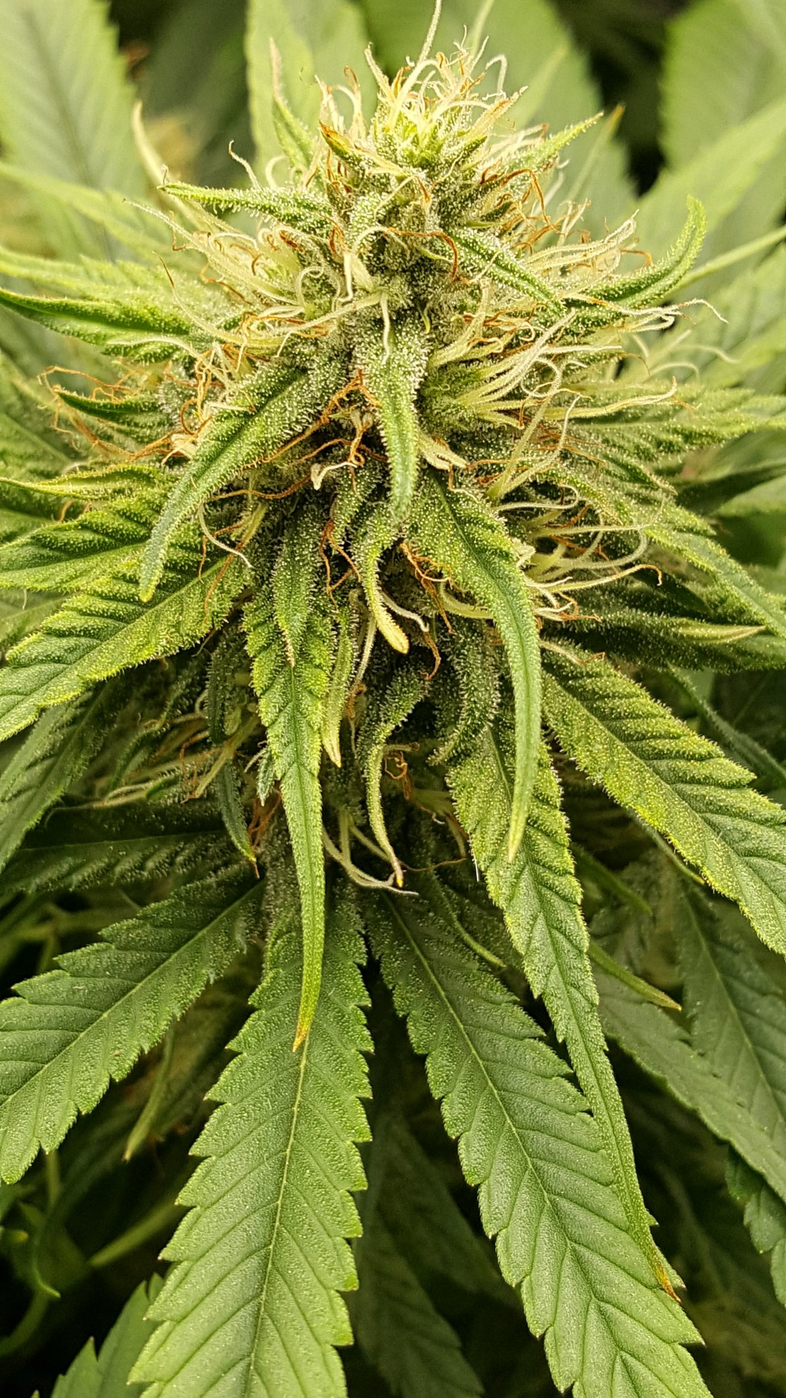 20201021 154428