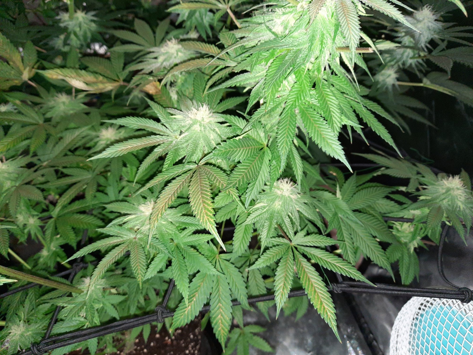 20201022 071427