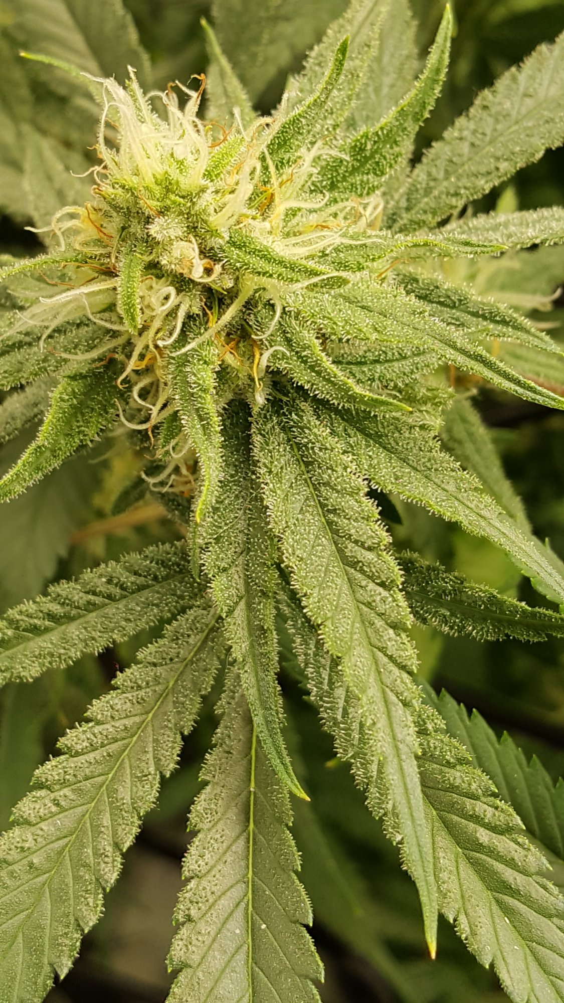 20201022 183231