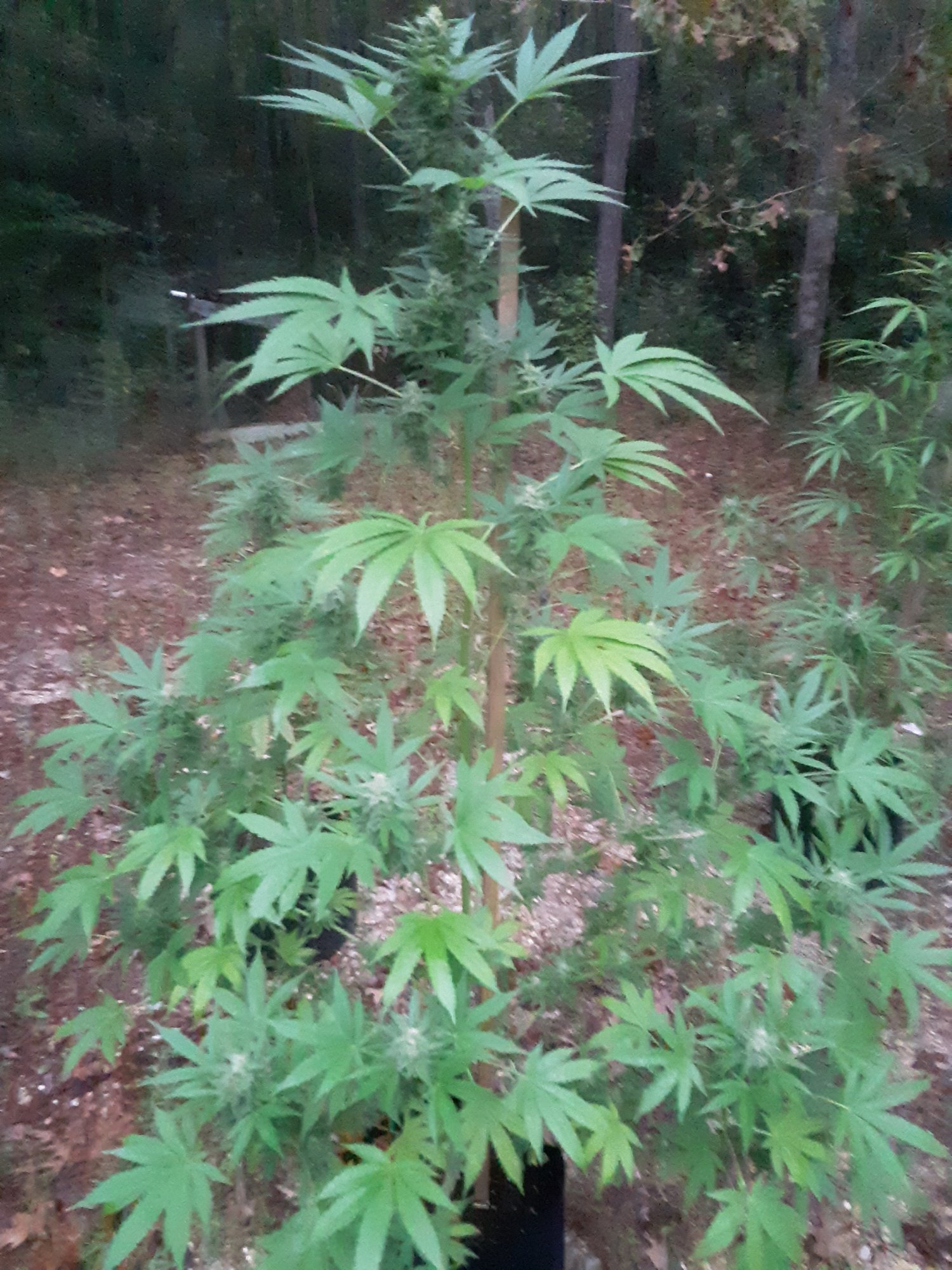 20201025 070528