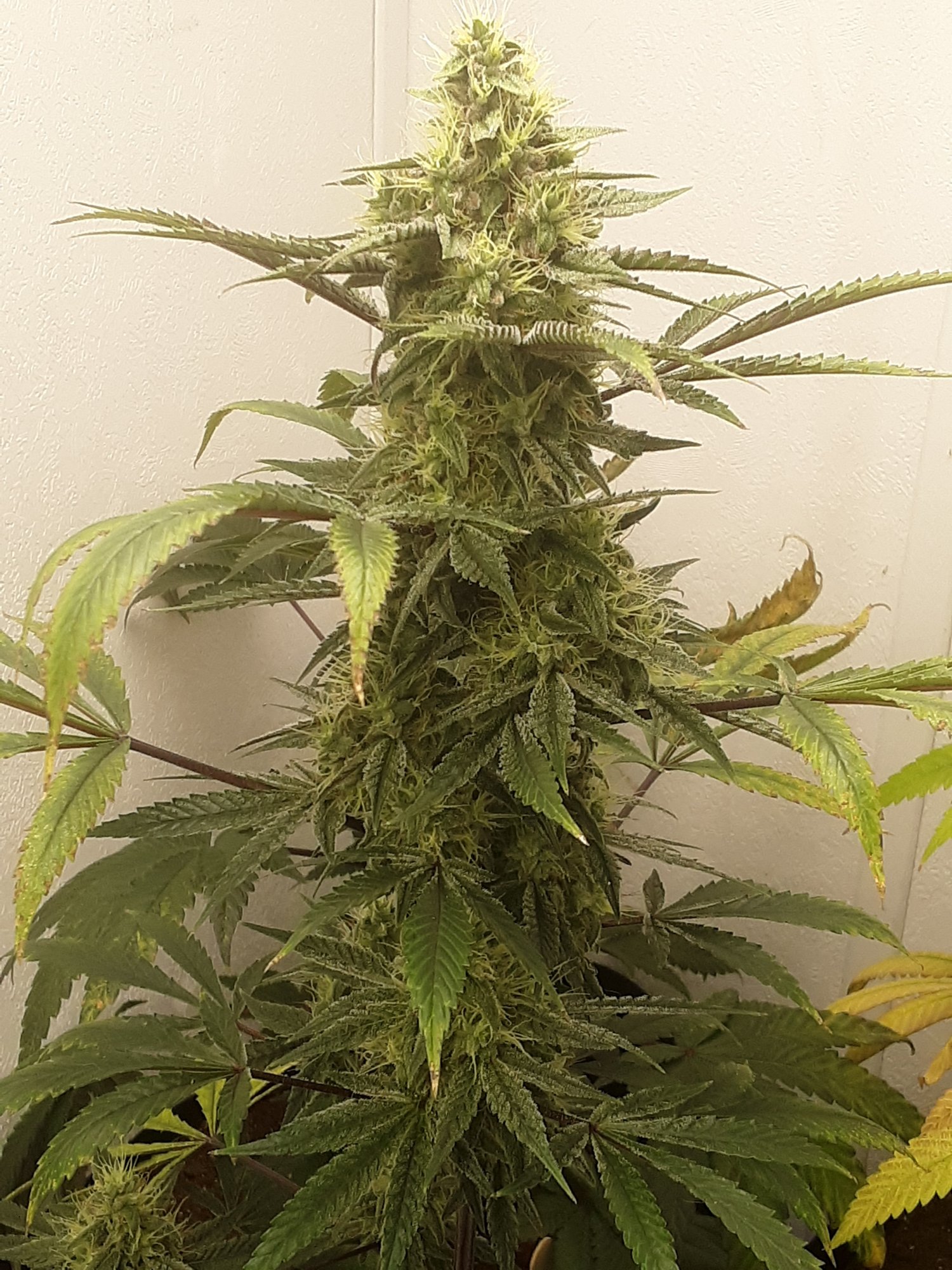 20201025 071230