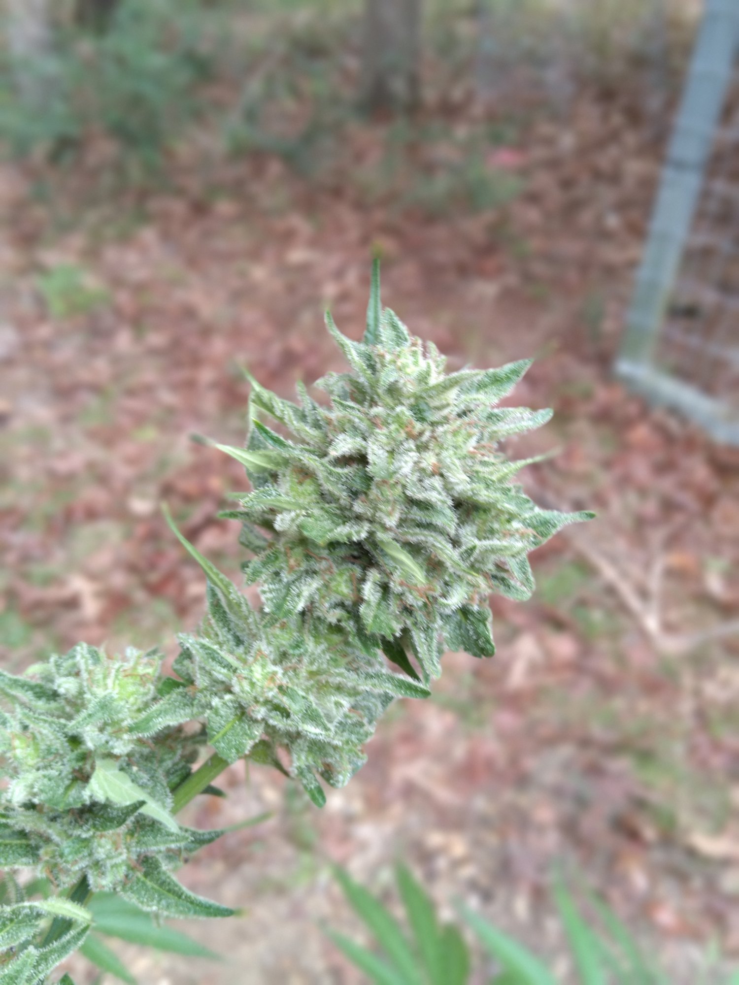 20201027 123130