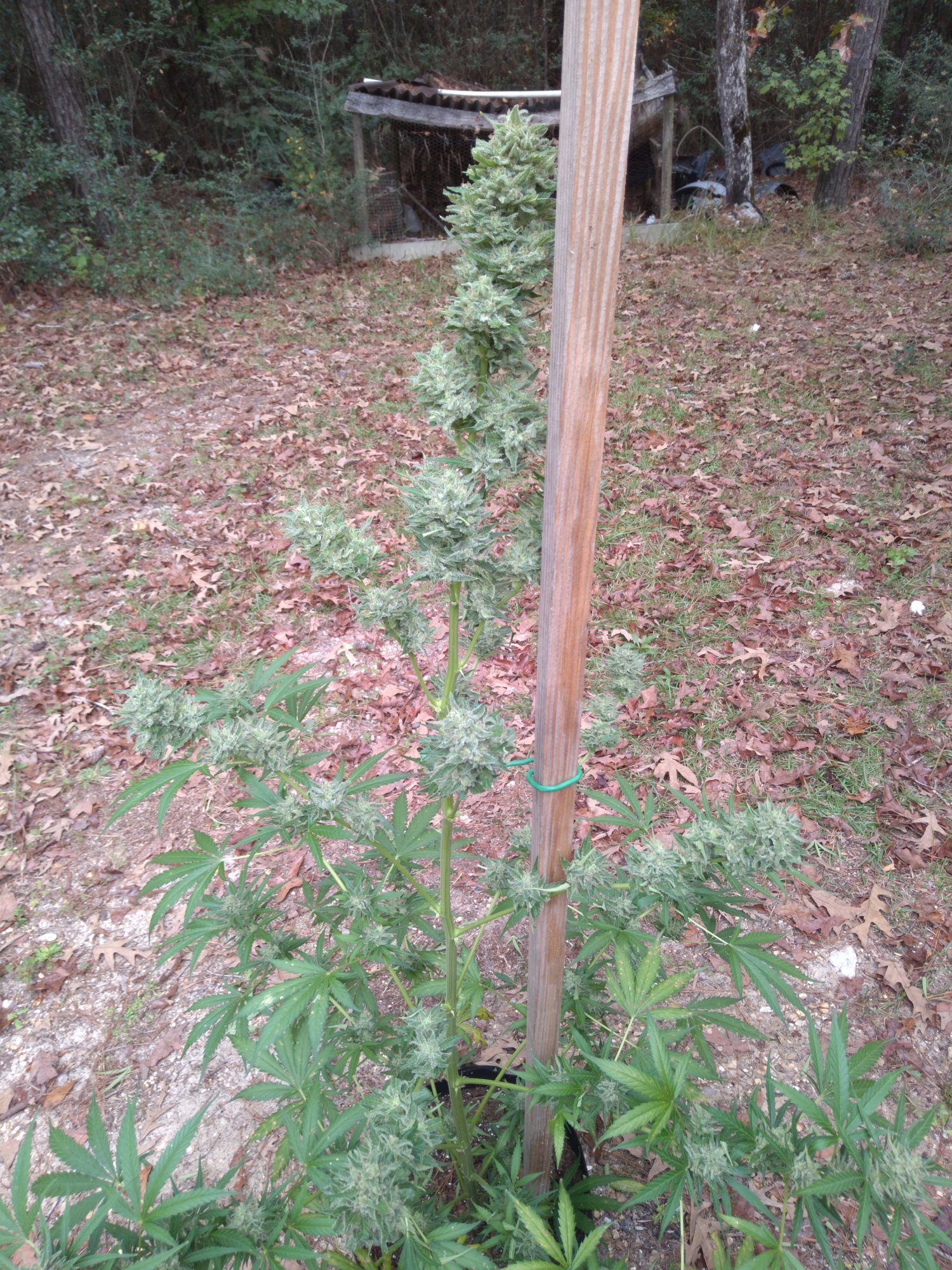 20201027 123605