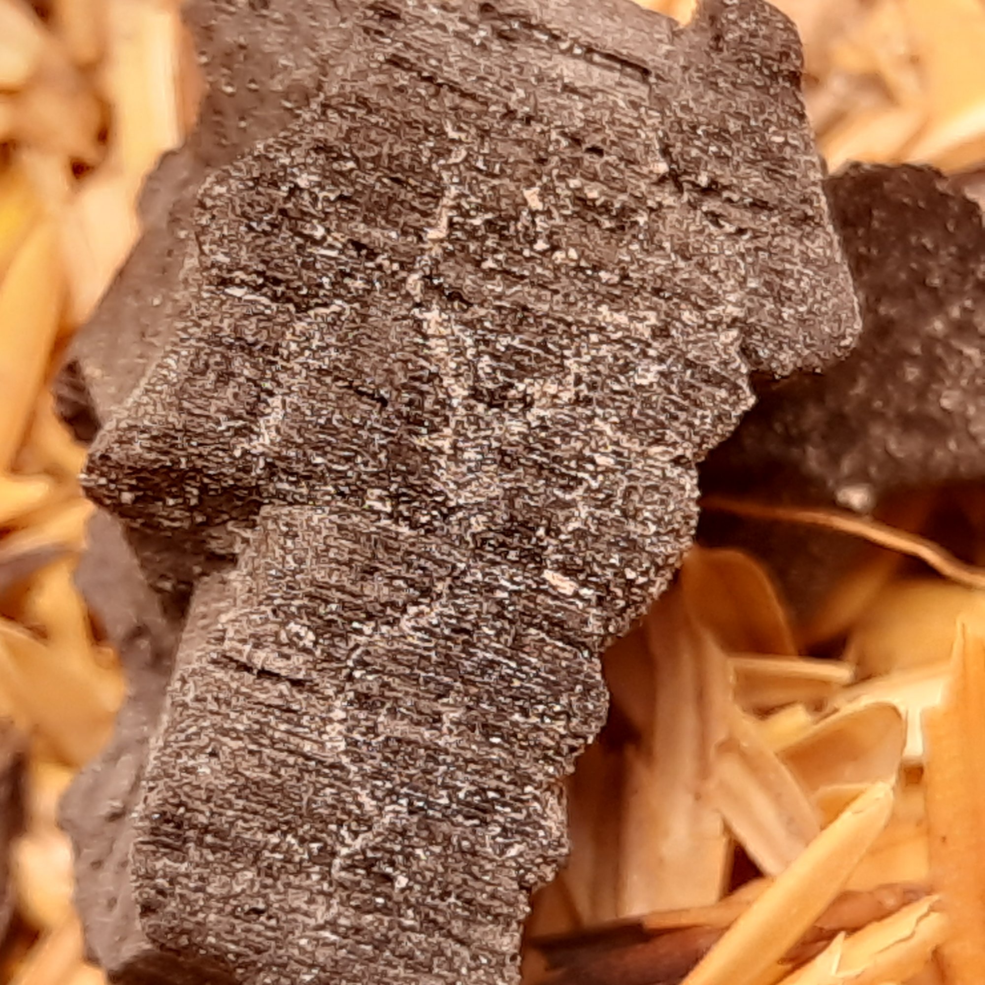 20201027 210234