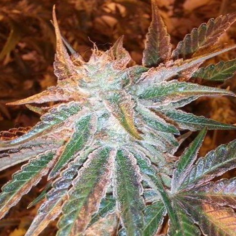 20201027 221846