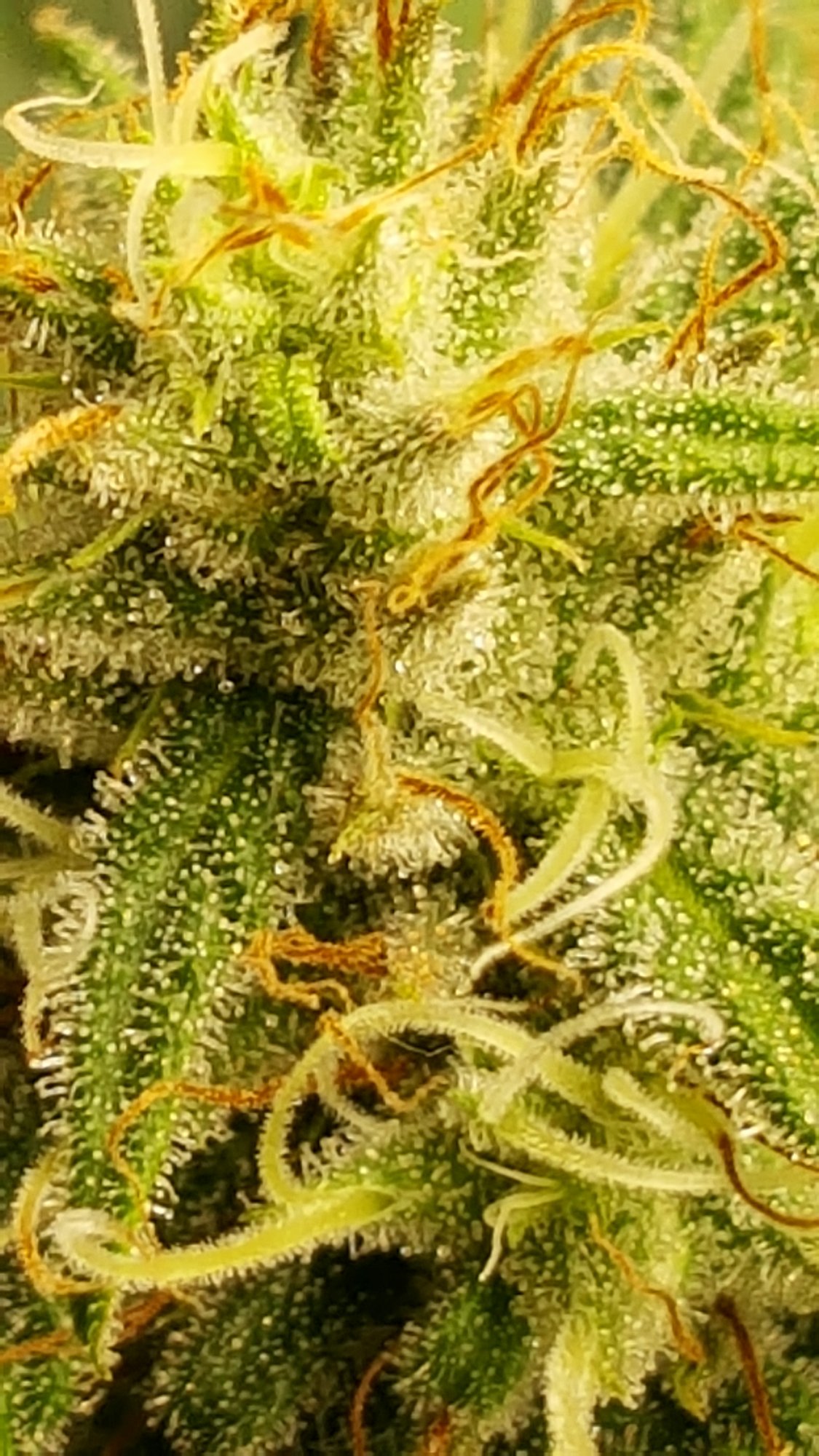 20201028 123216