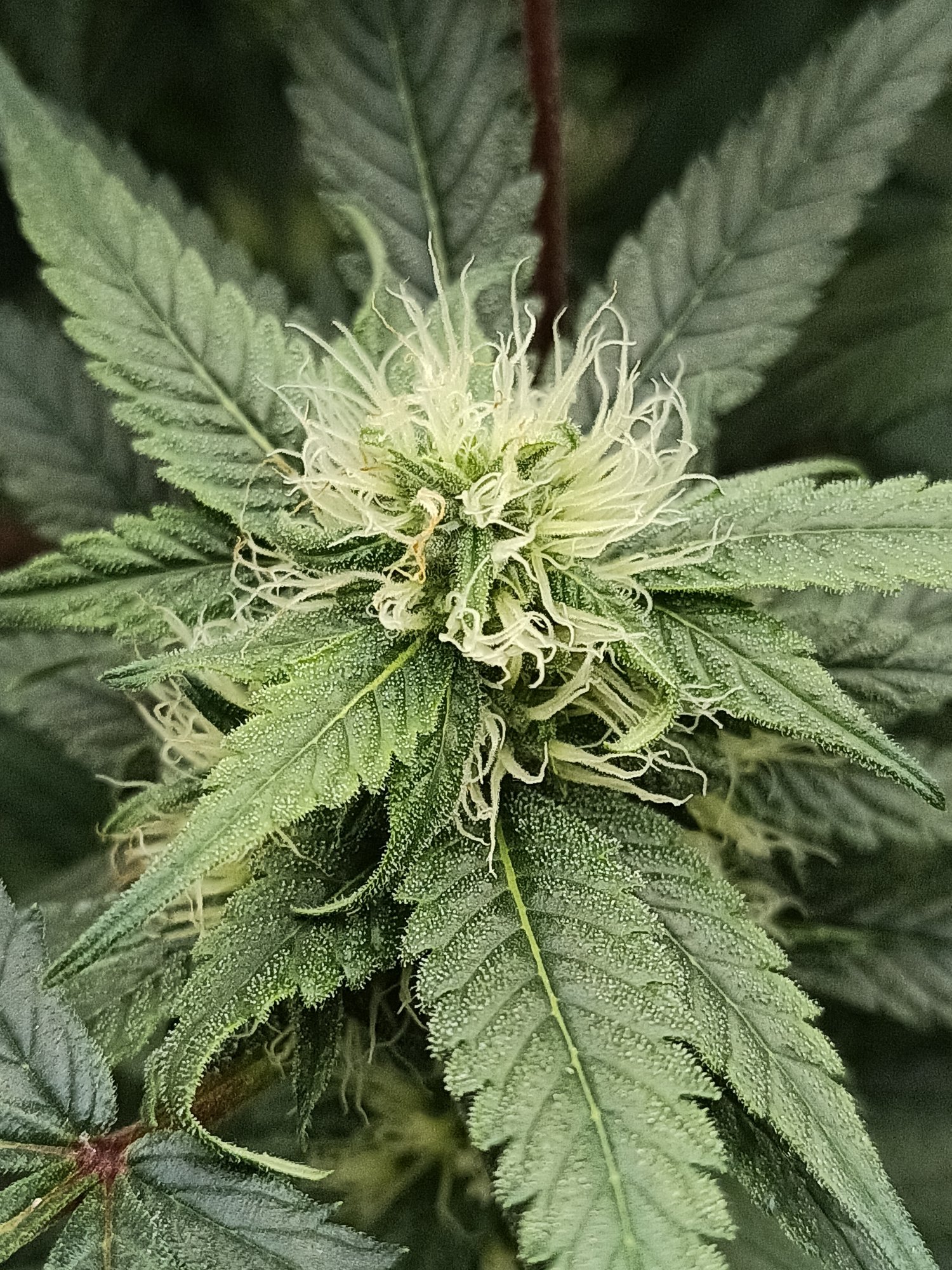 20201029 010601