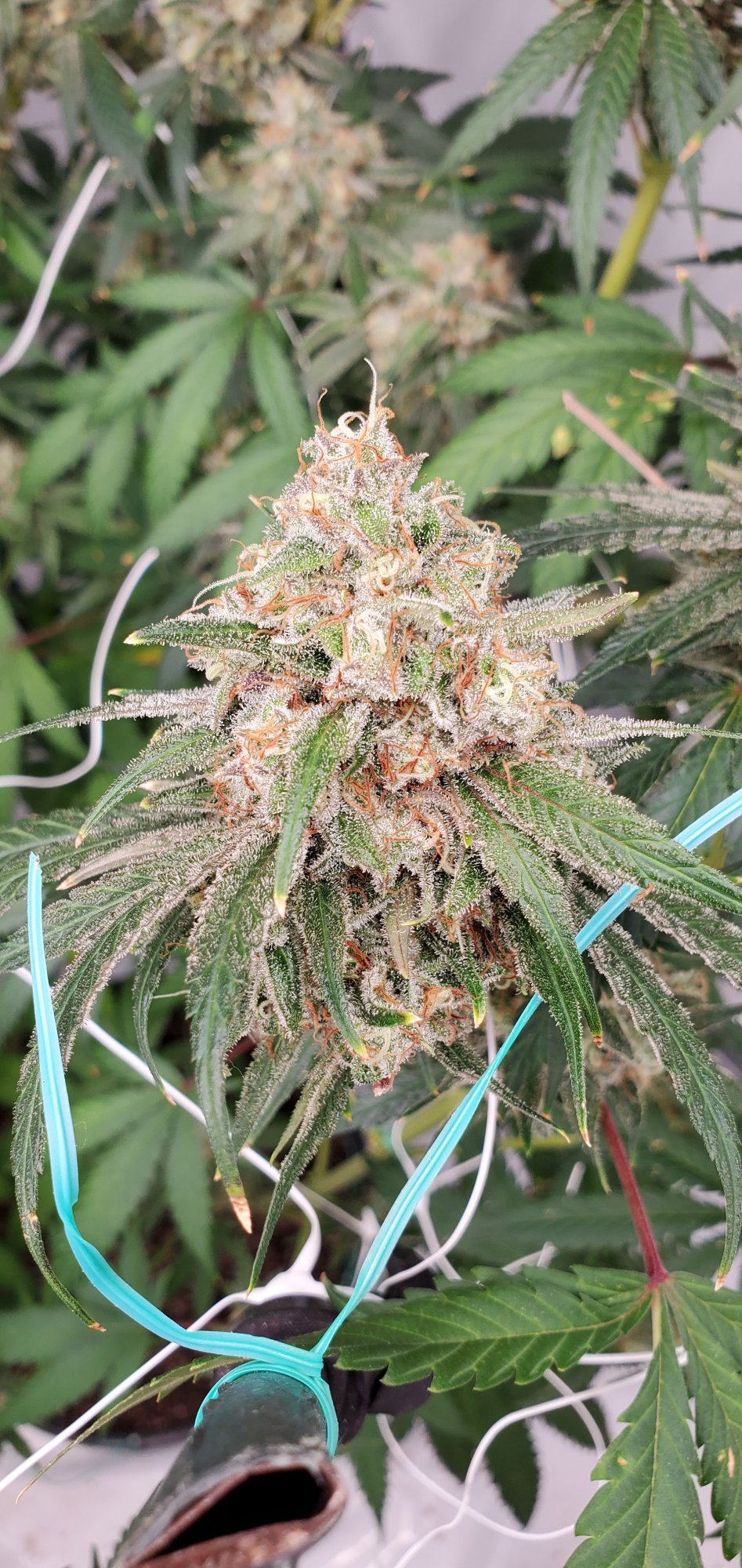 20201102 184011
