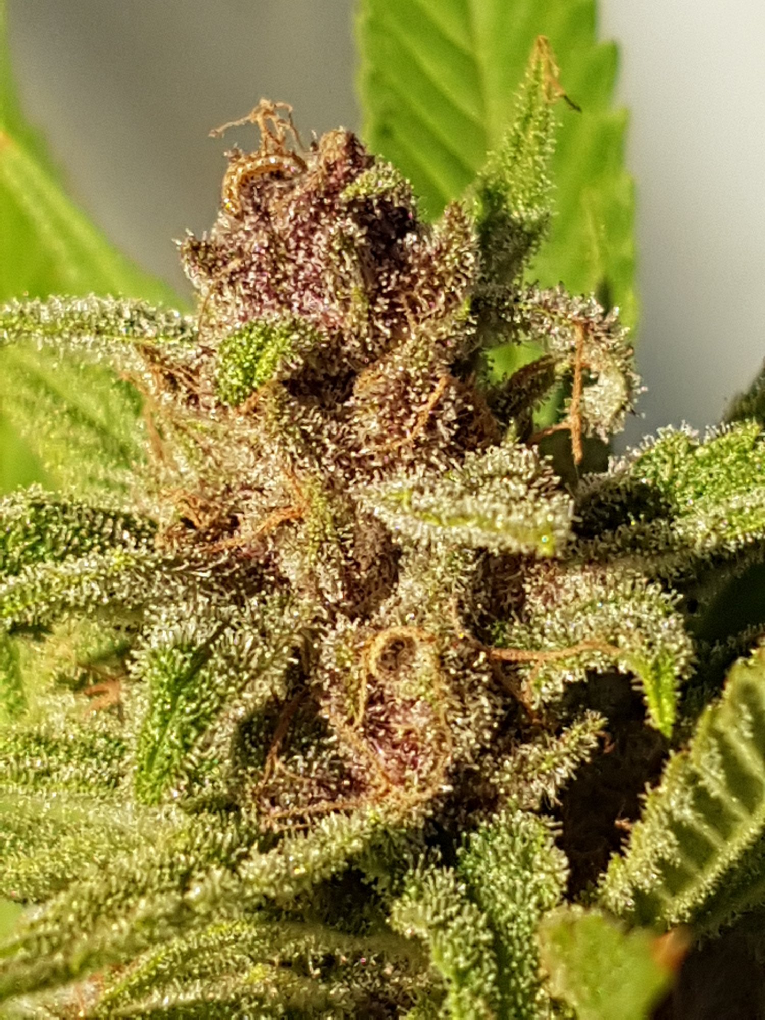 20201109 155448