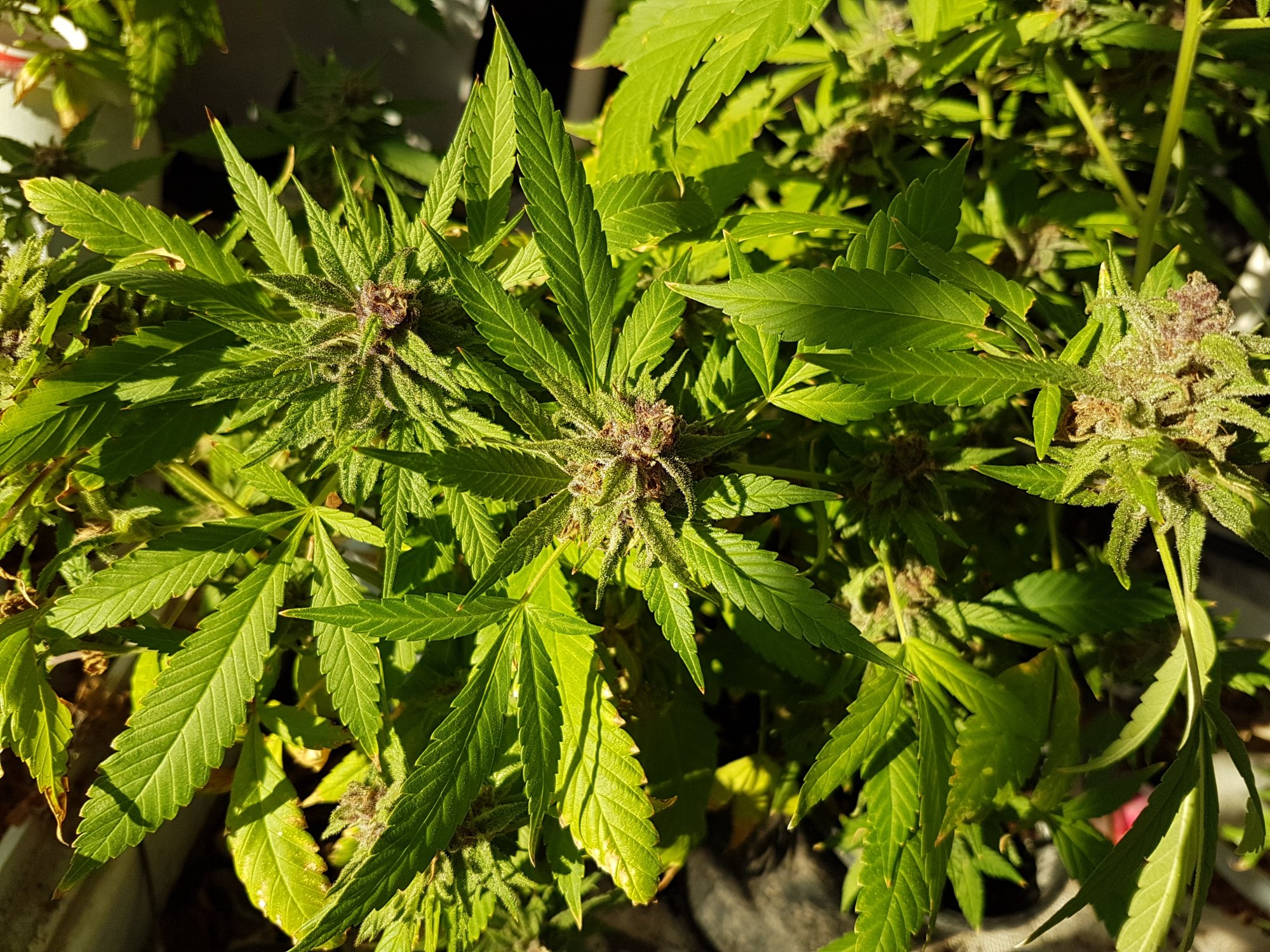 20201109 155458