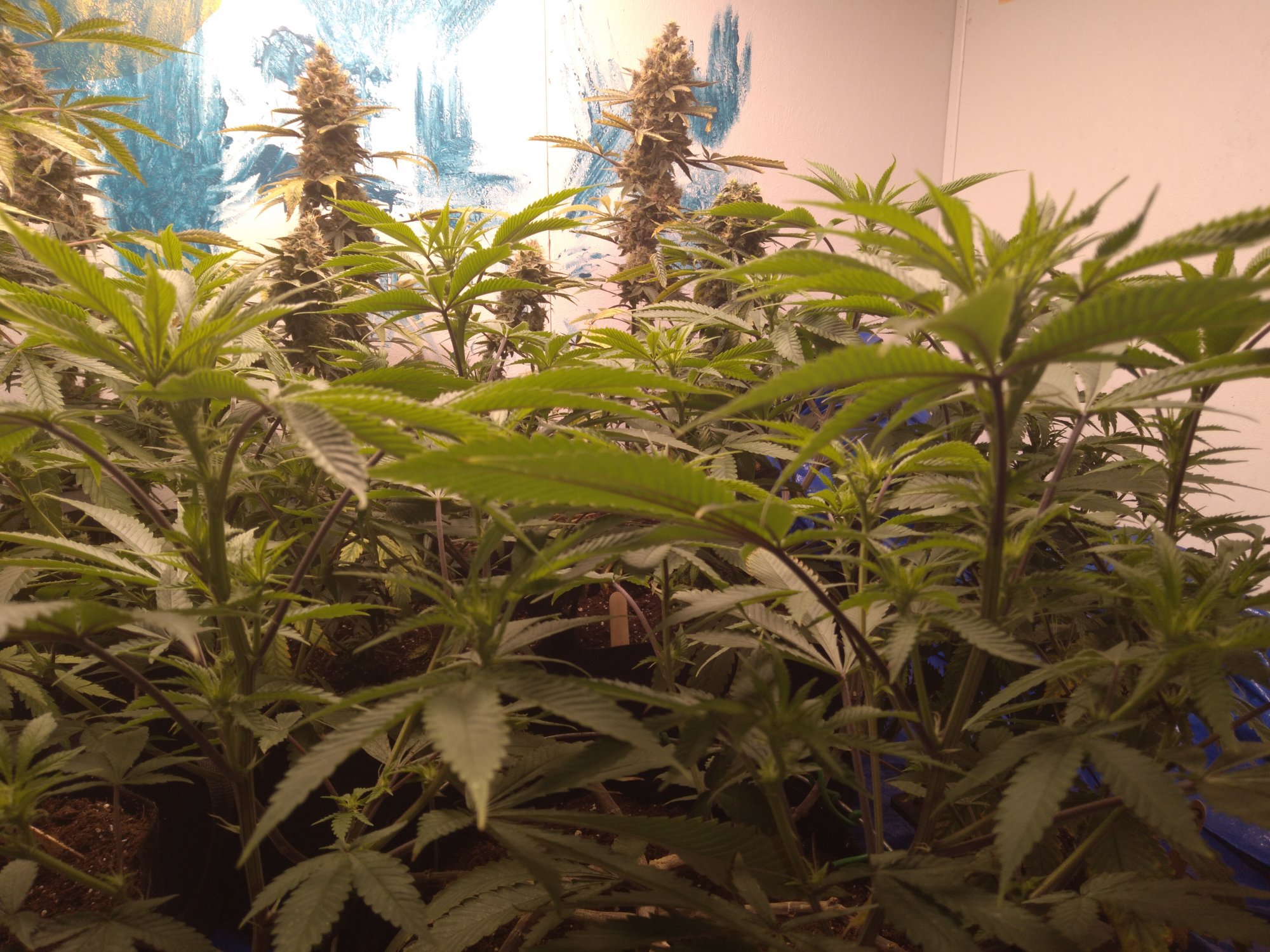 20201113 065738