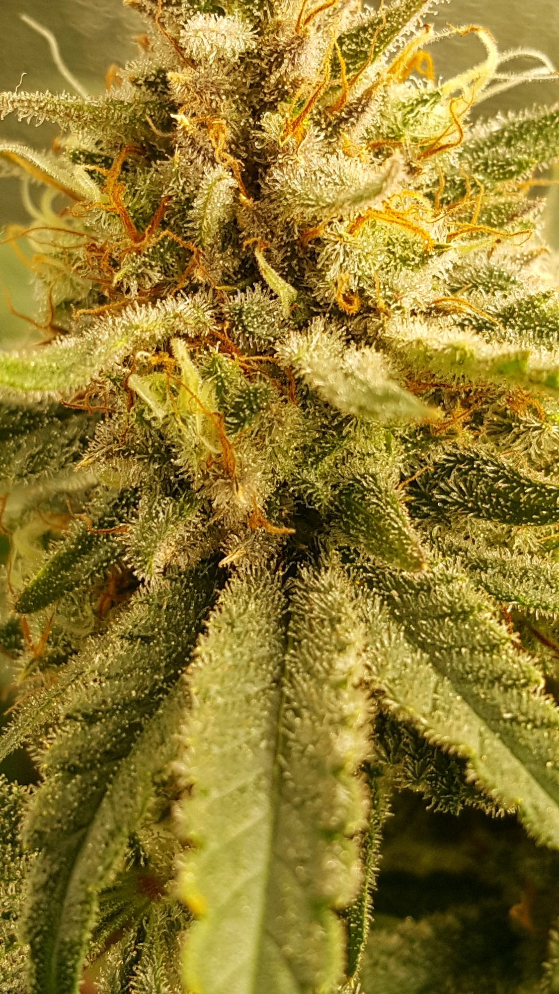 20201114 085223