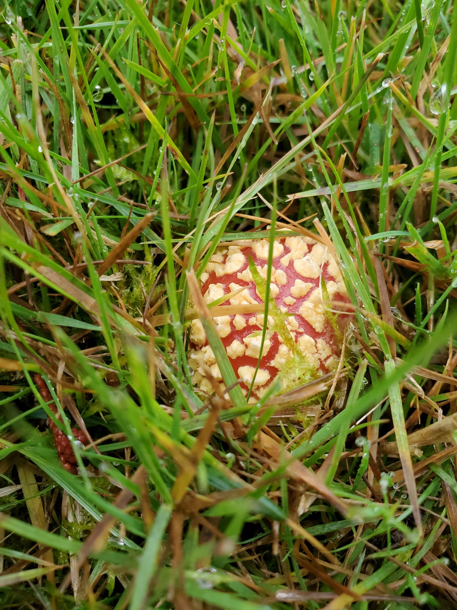 20201116 092658