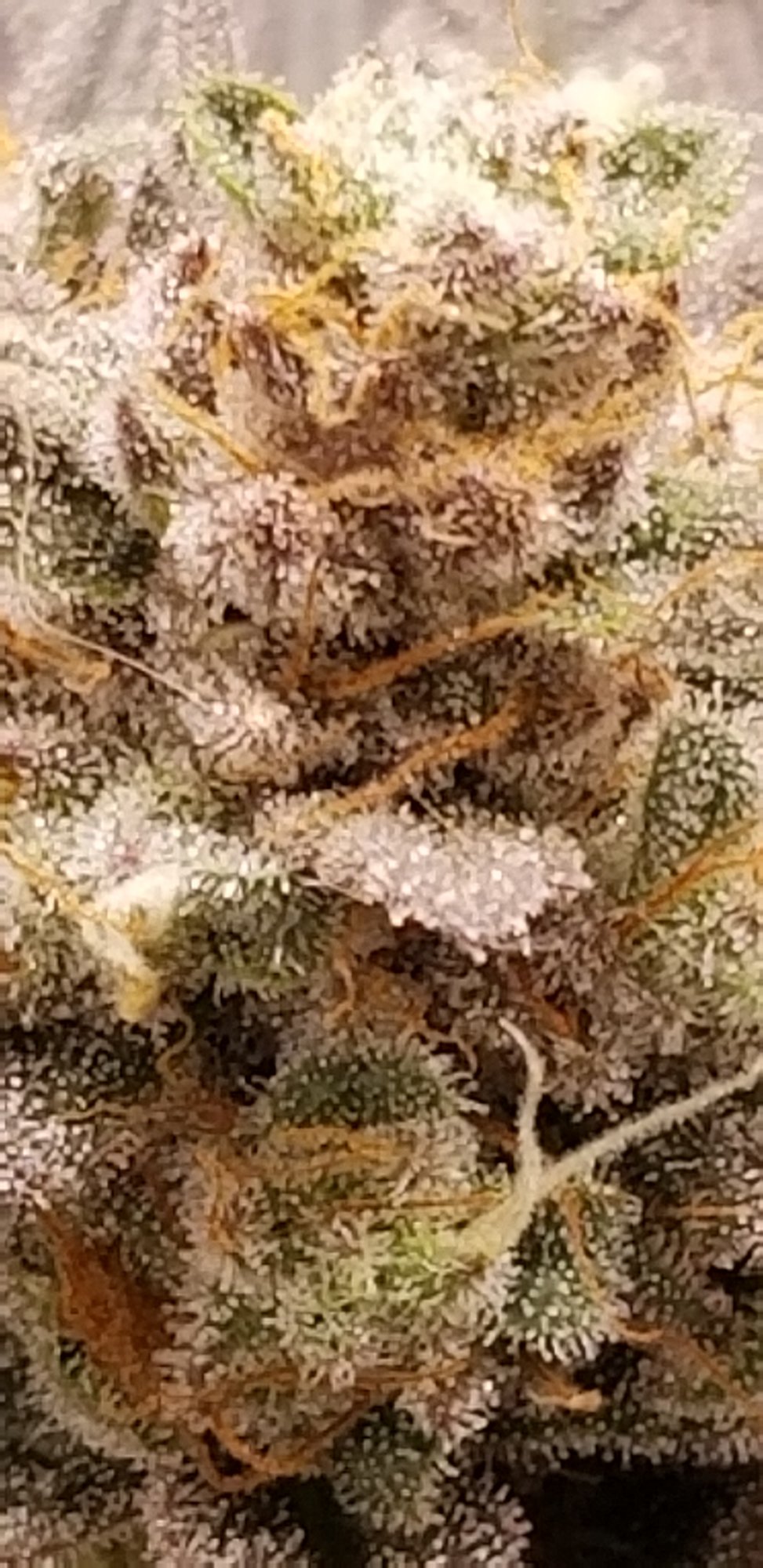 20201116 144728