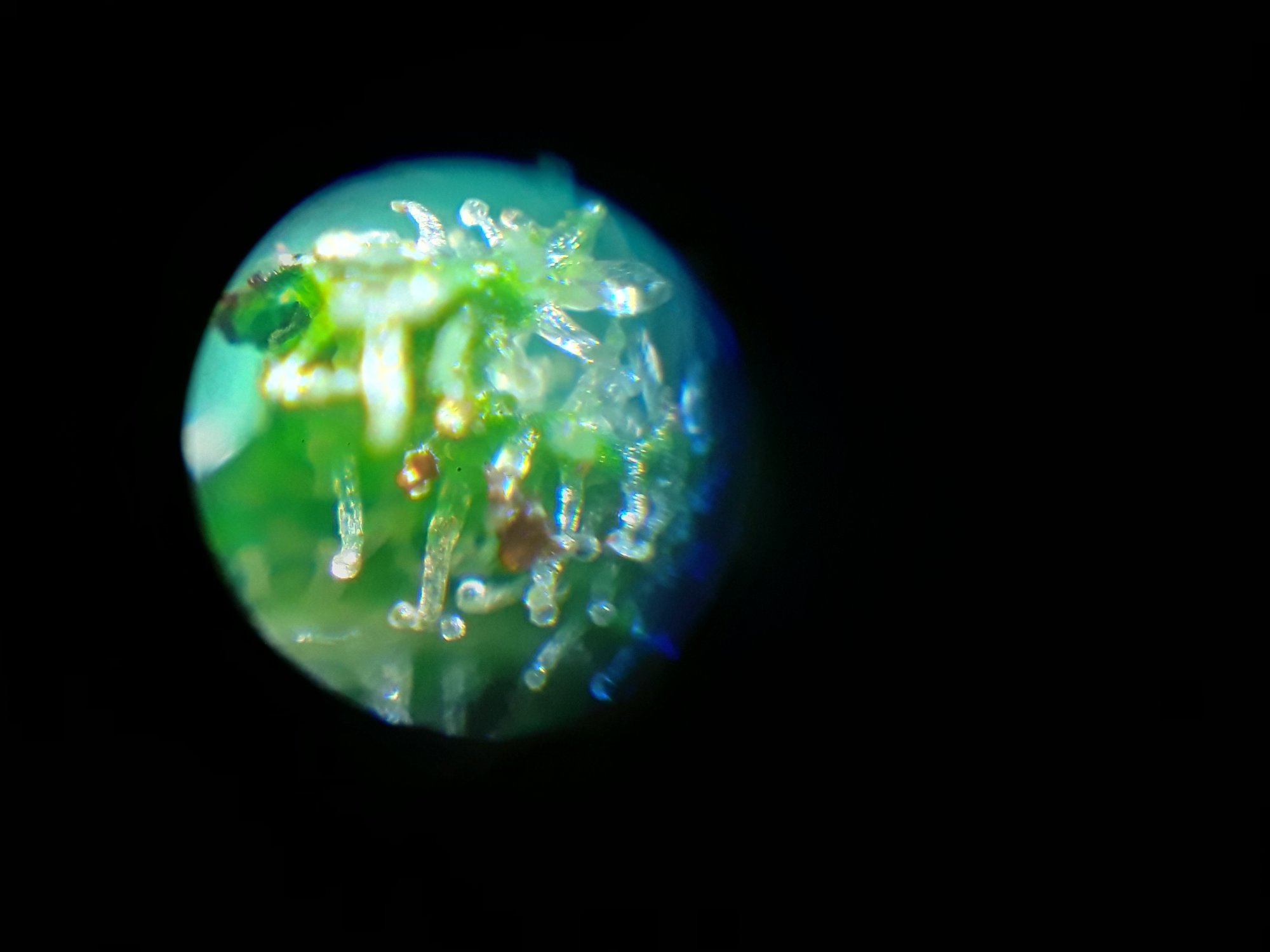 20201117 083624