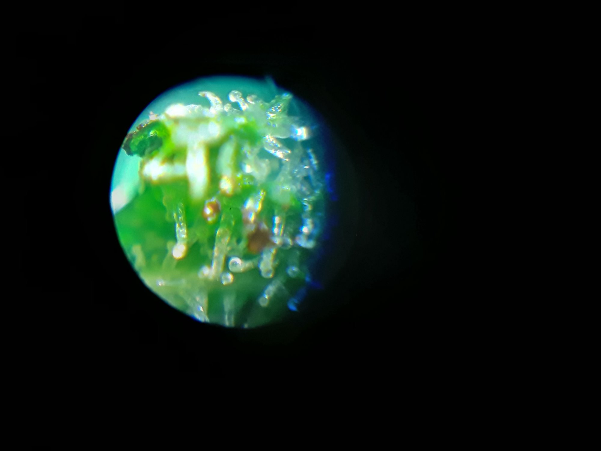 20201117 083627