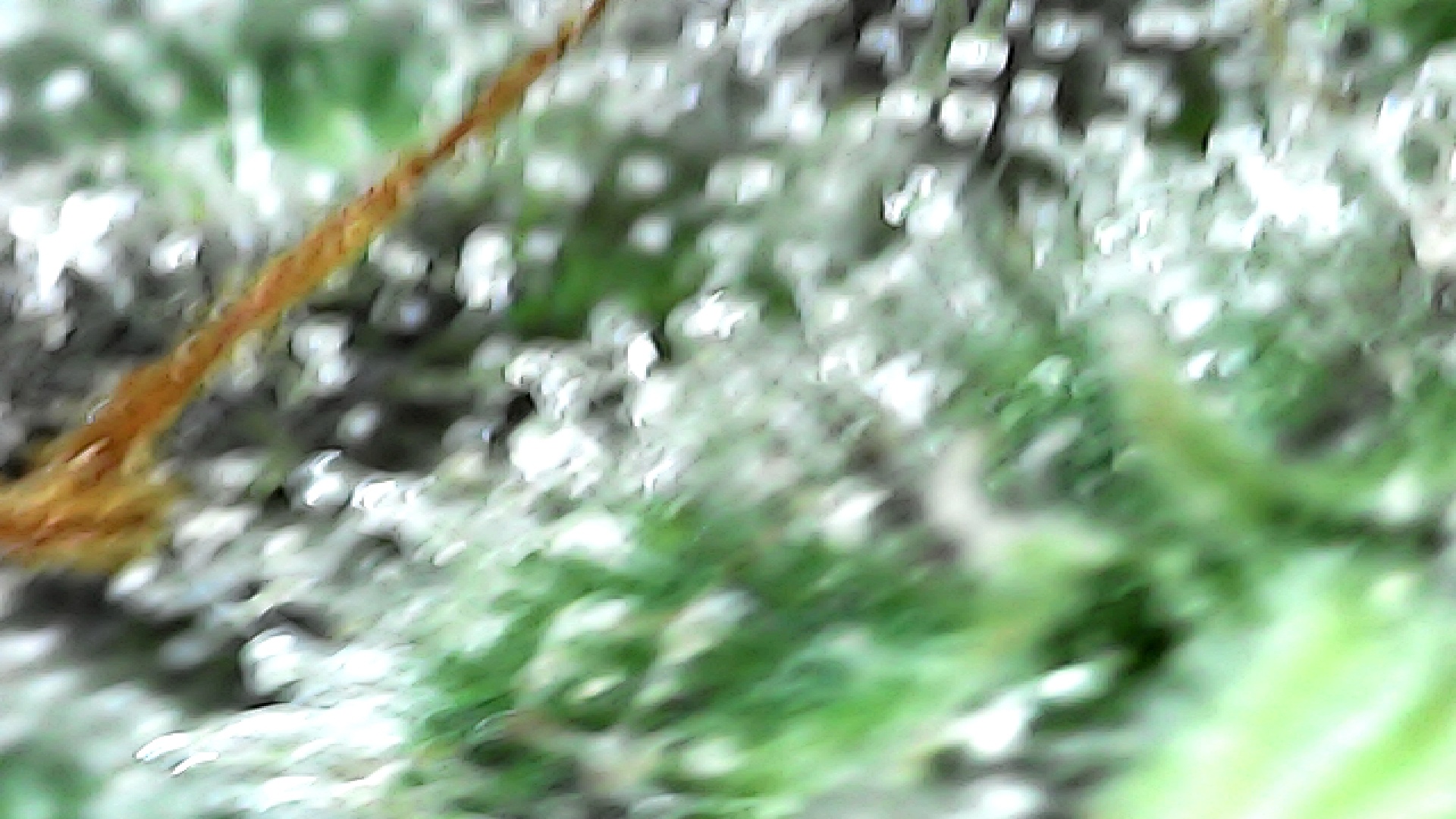 20201117 2159 013 0000