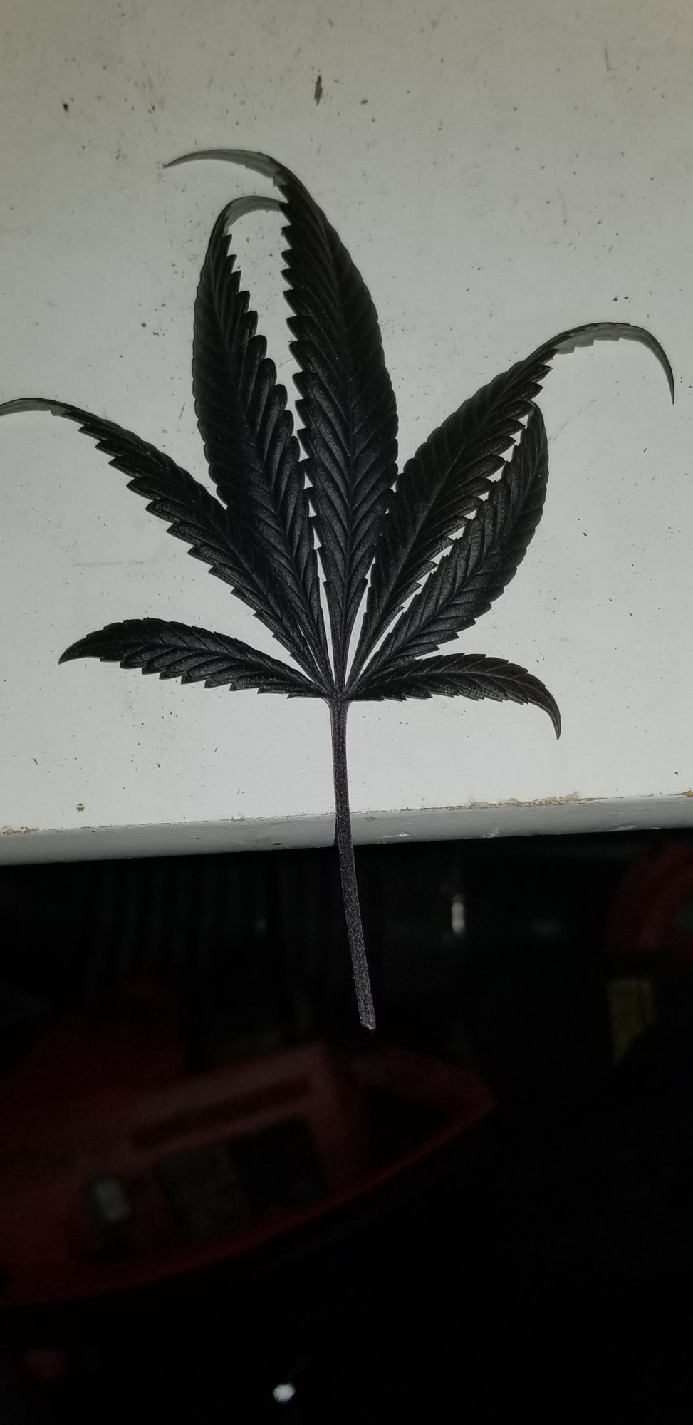 20201118 142307