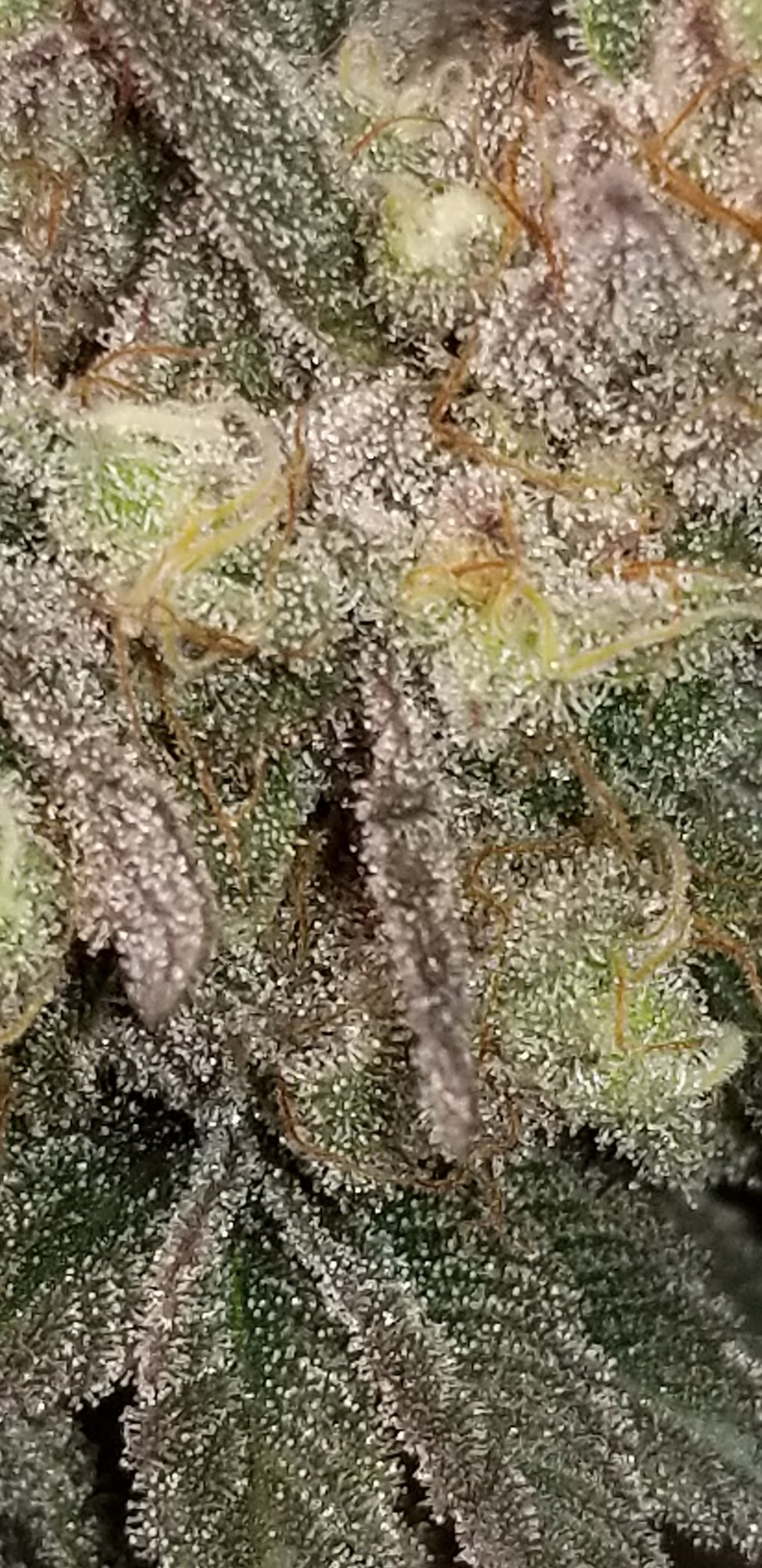 20201120 134956