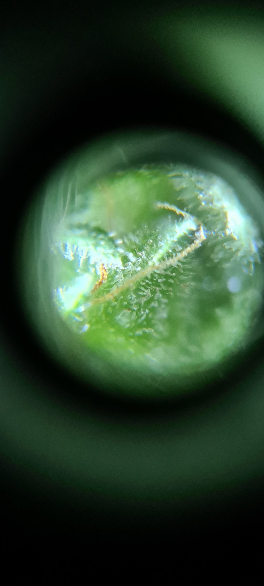 20201123 221941