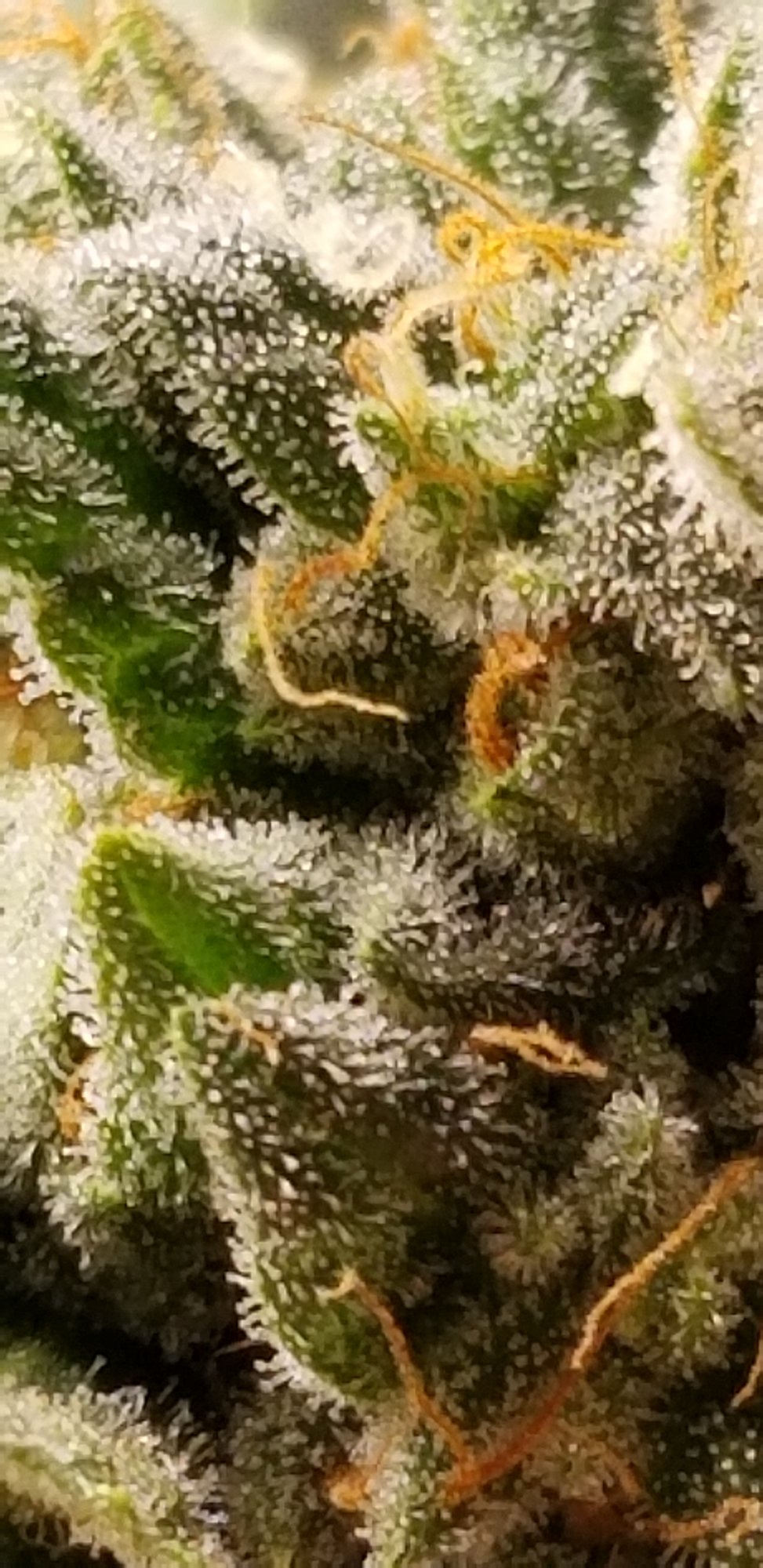 20201124 135551