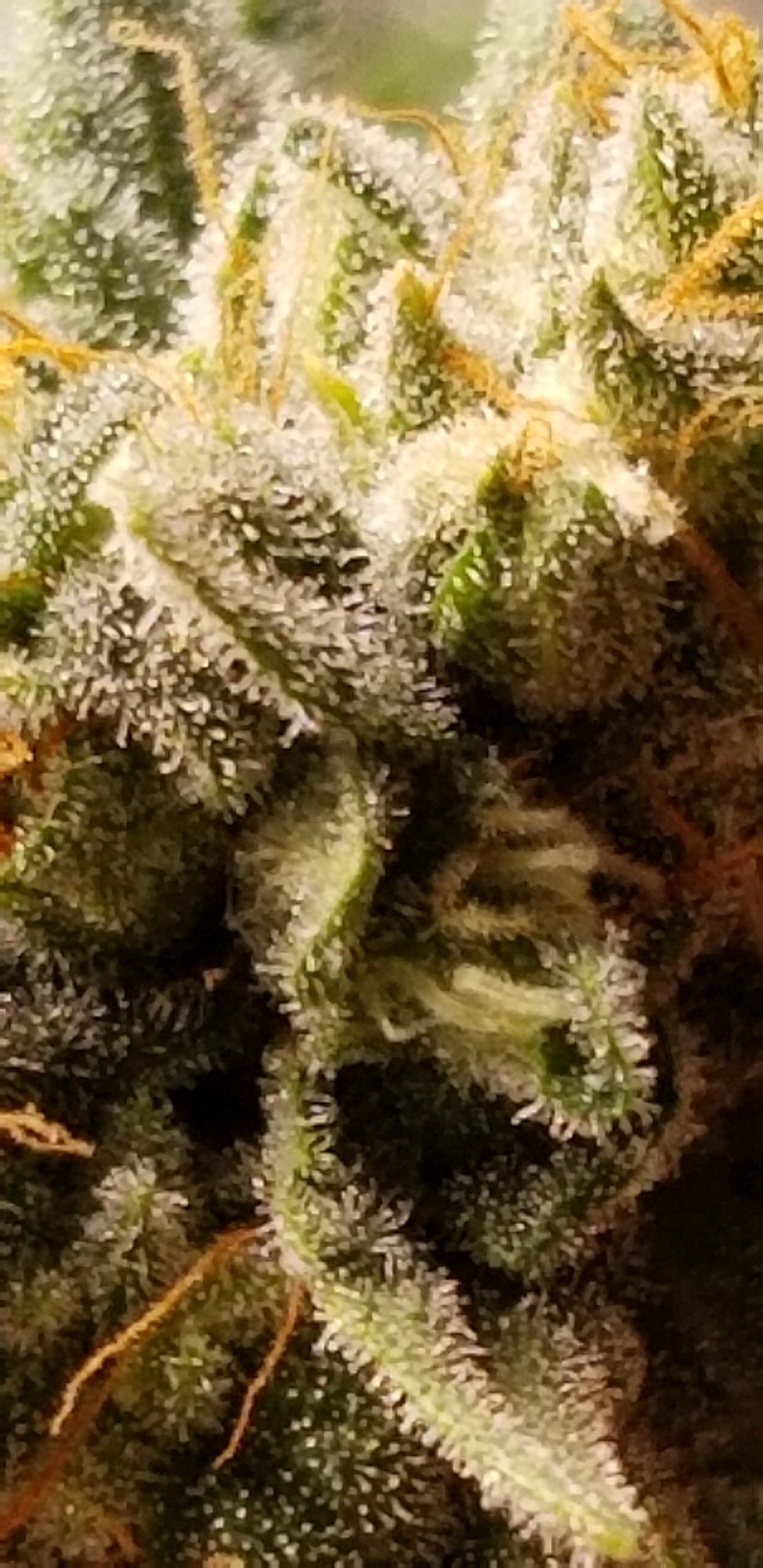 20201124 135553