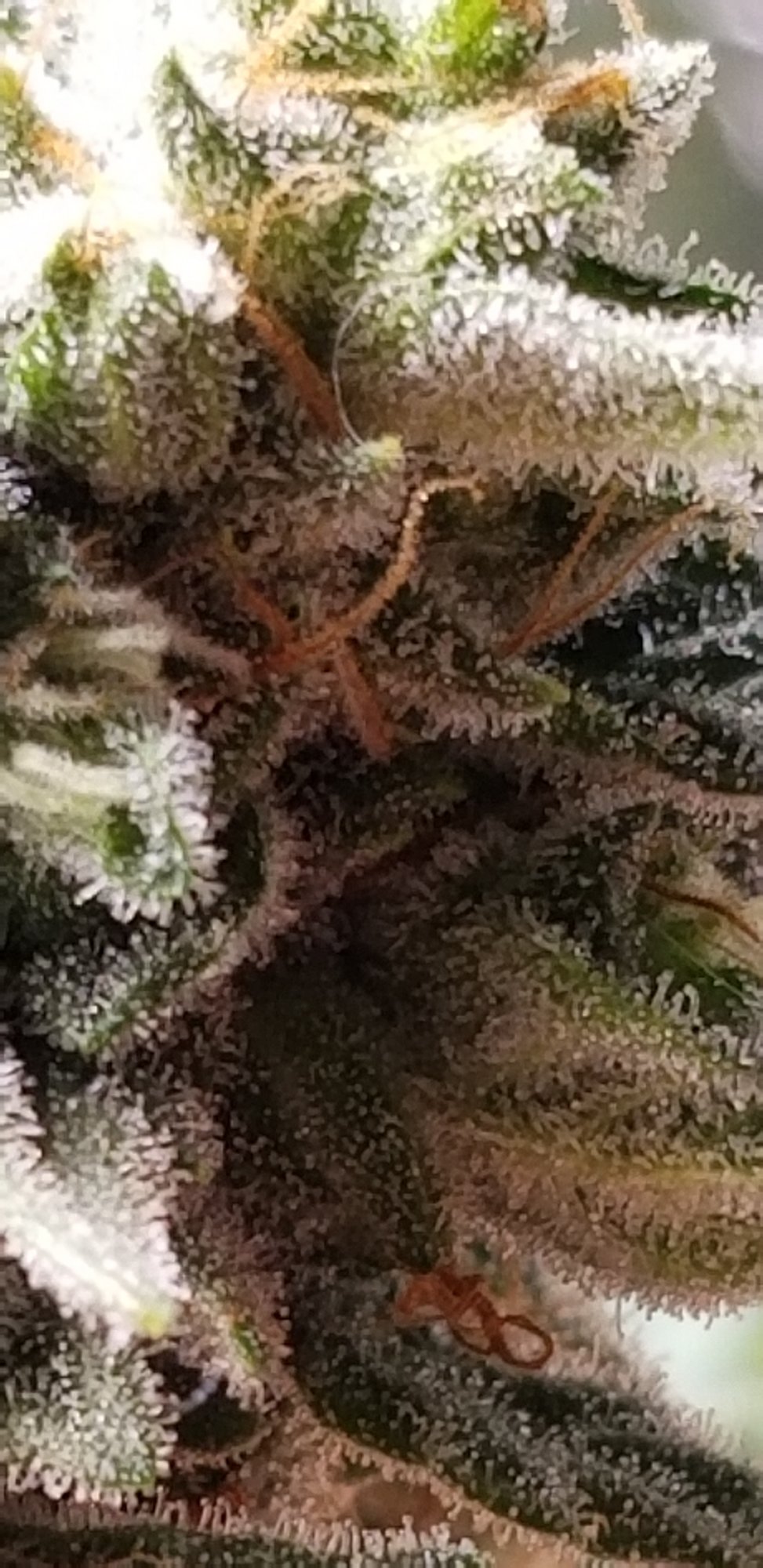 20201124 135554