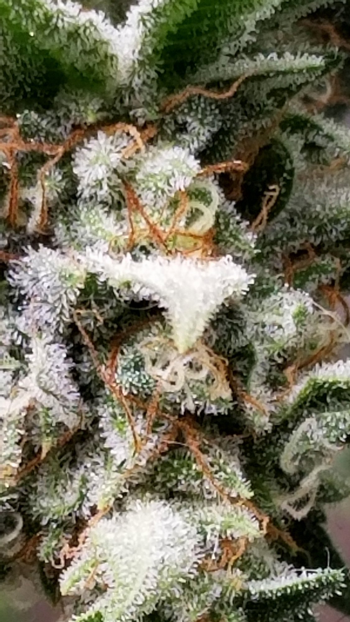 20201124 171437