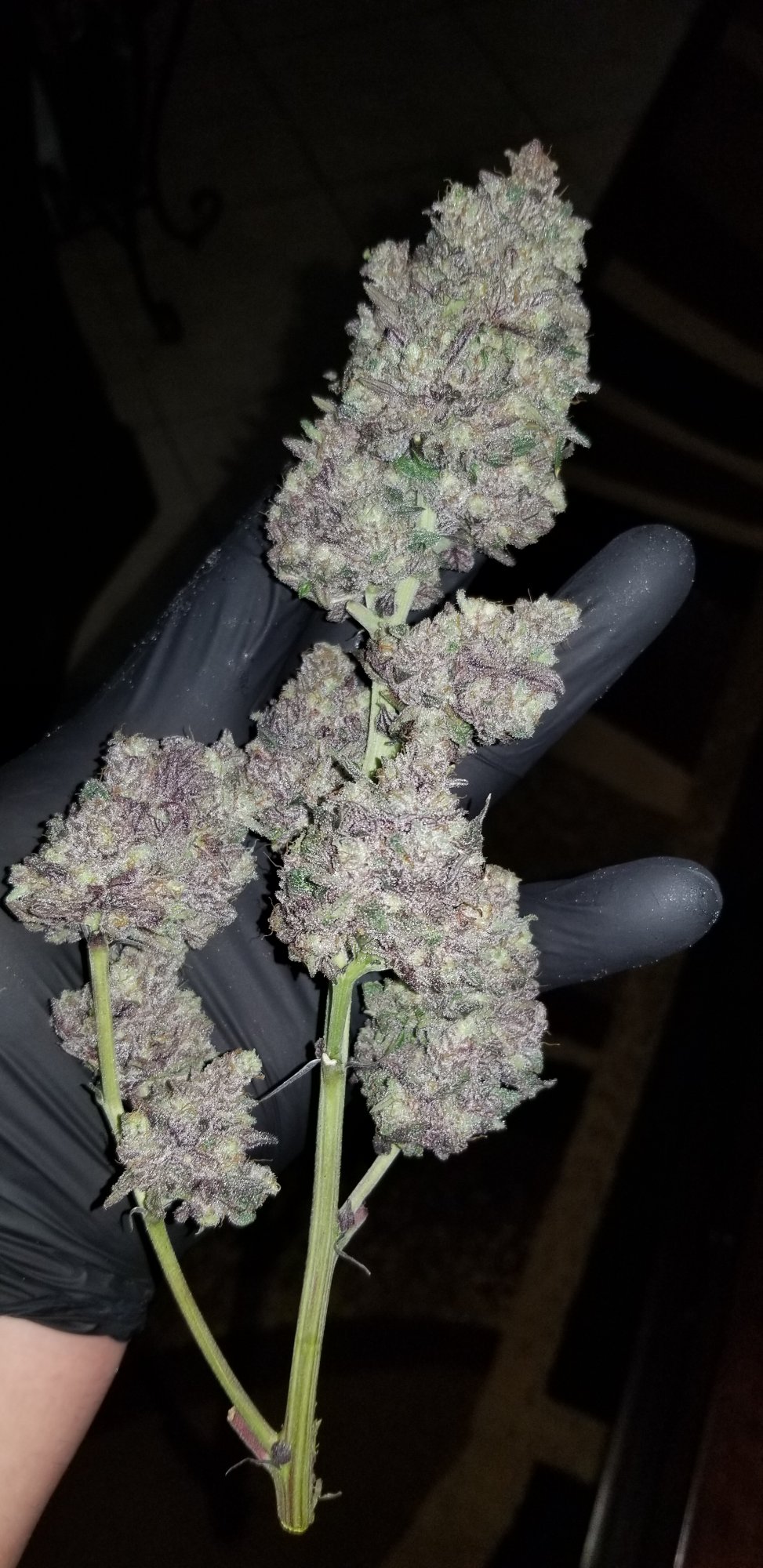 20201129 104716