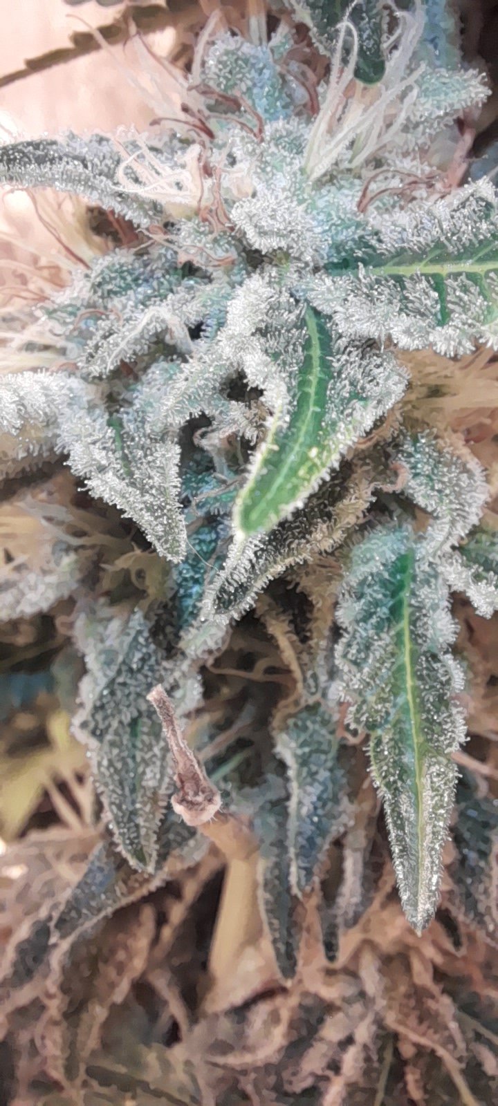 20201202 133207