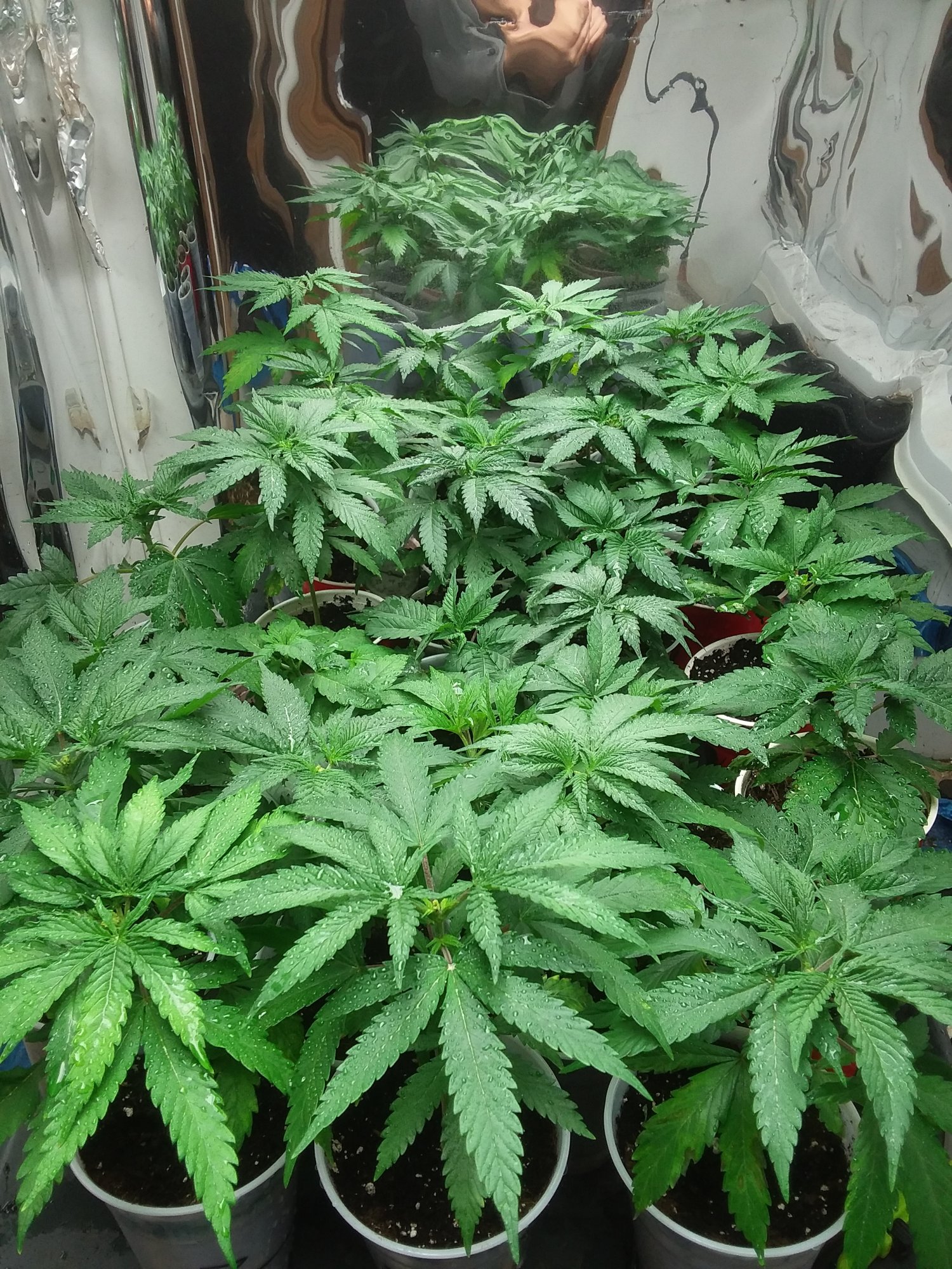 20201205 084148