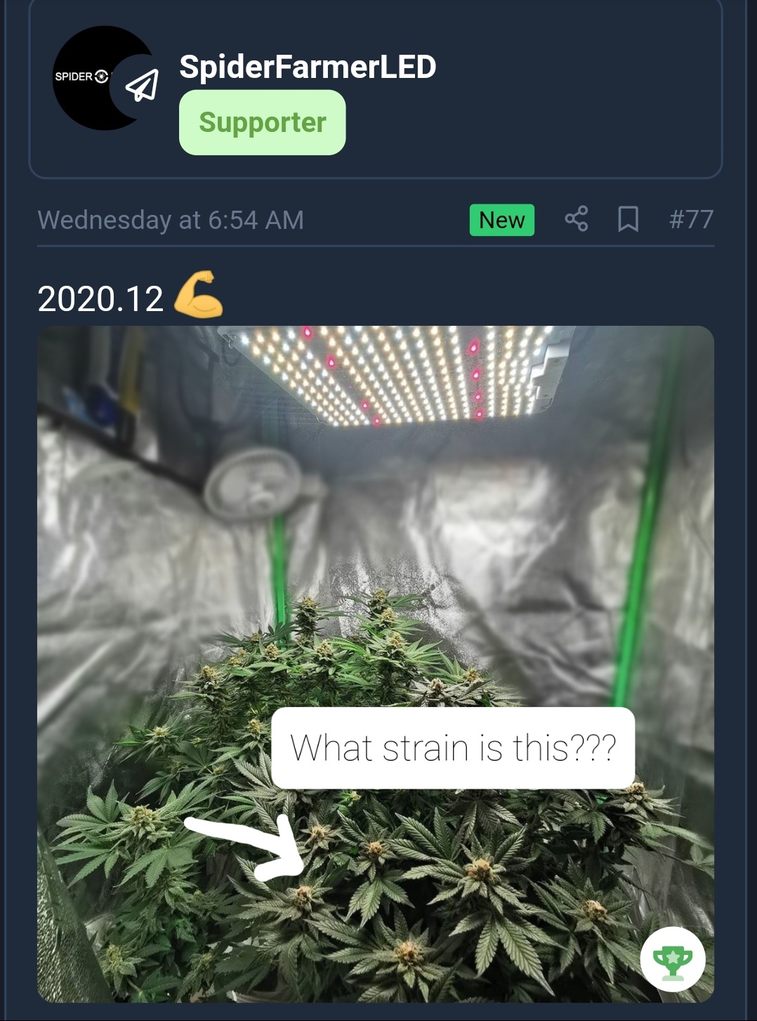 20201207 133312