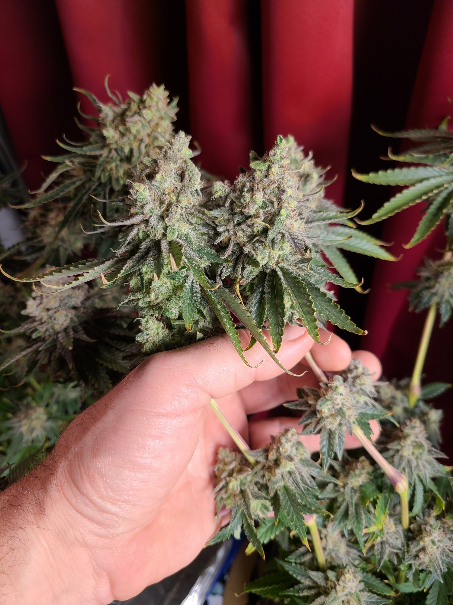 20201210 215814