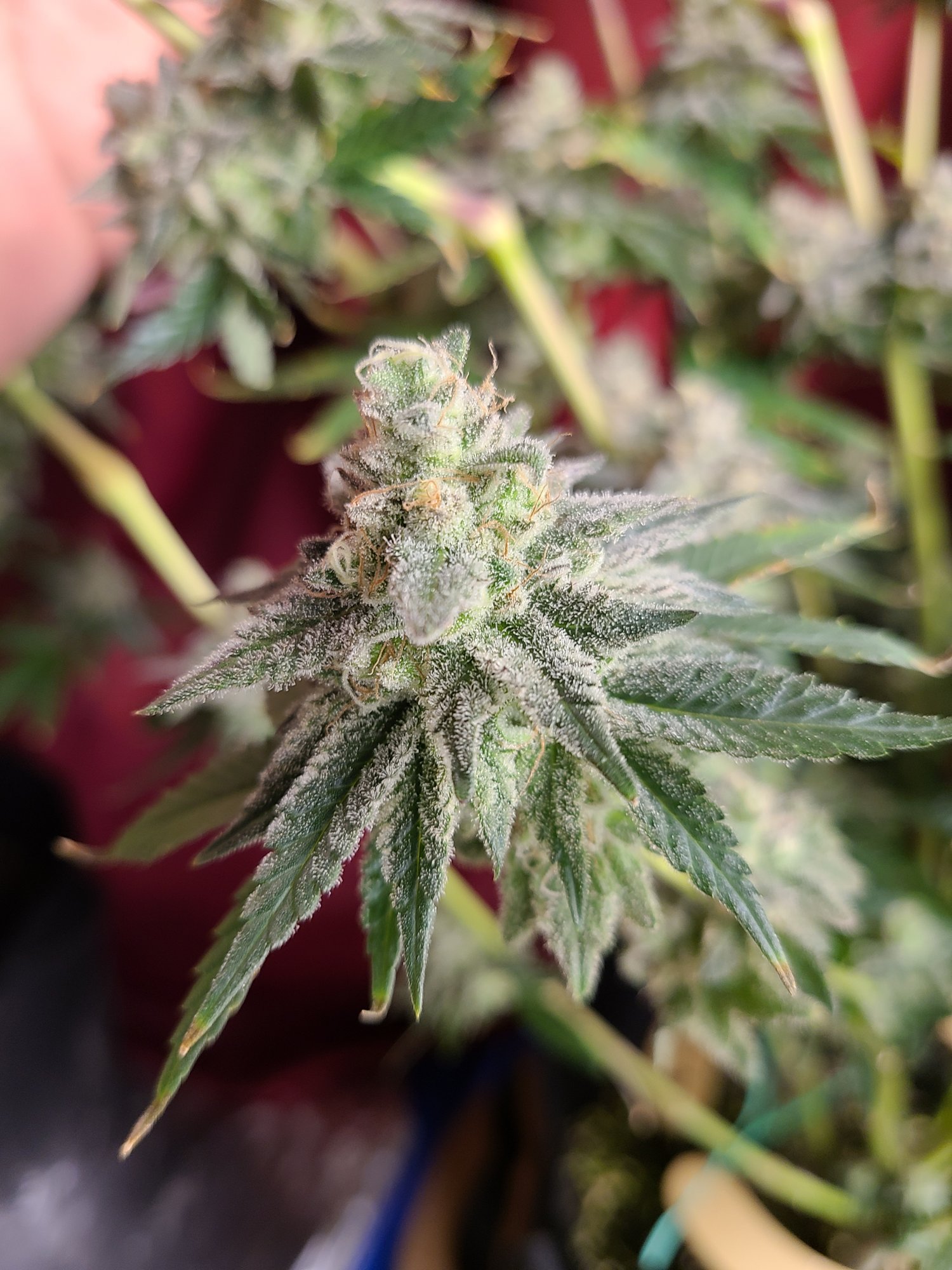 20201210 215822