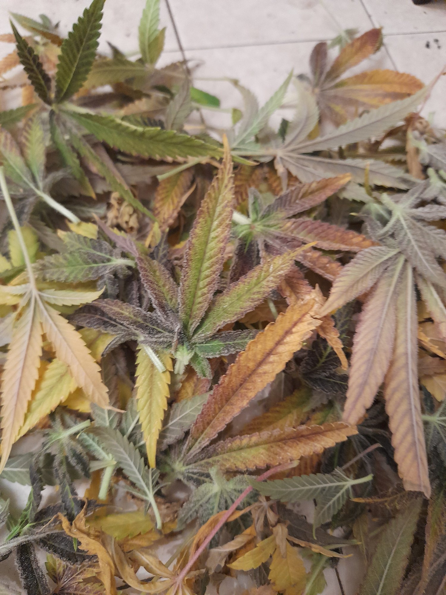 20201213 140110