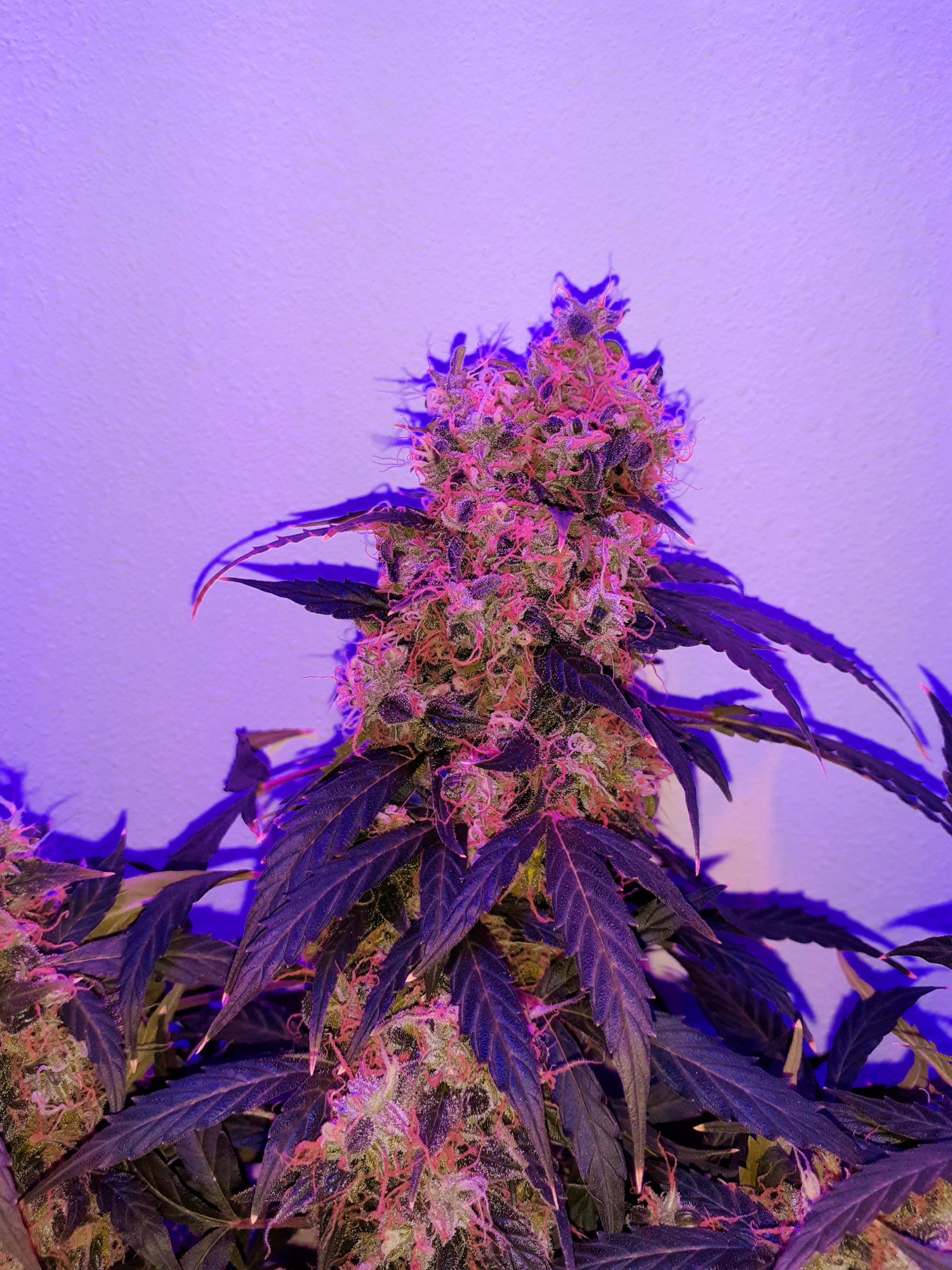 20201213 174833