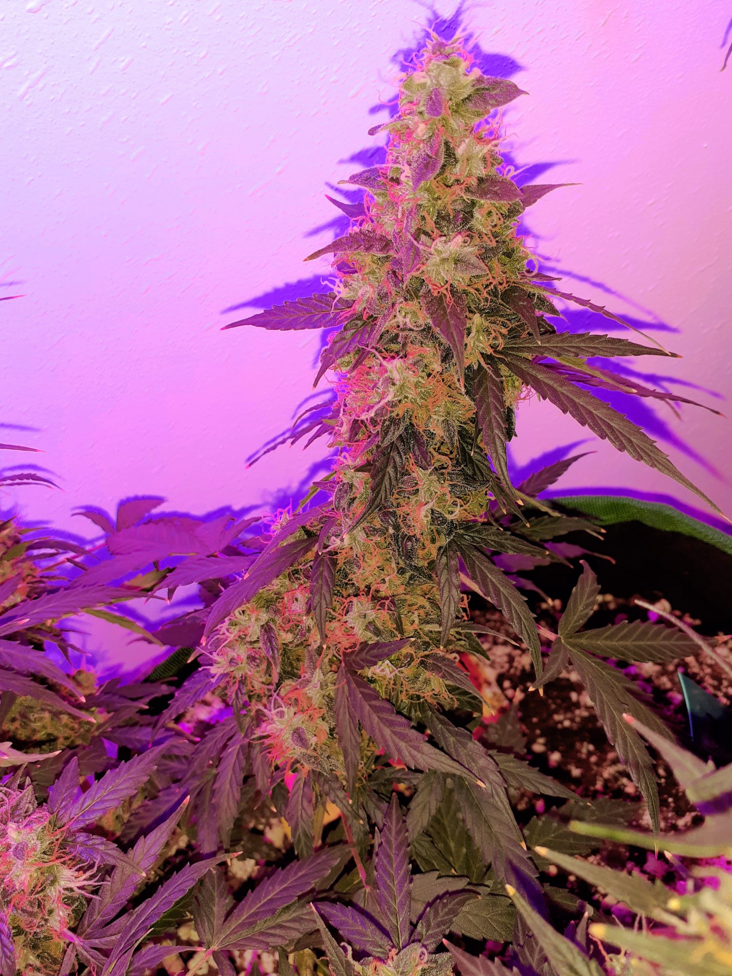 20201213 174908