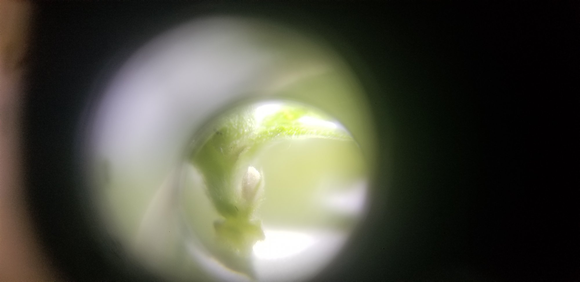 20201214 173118