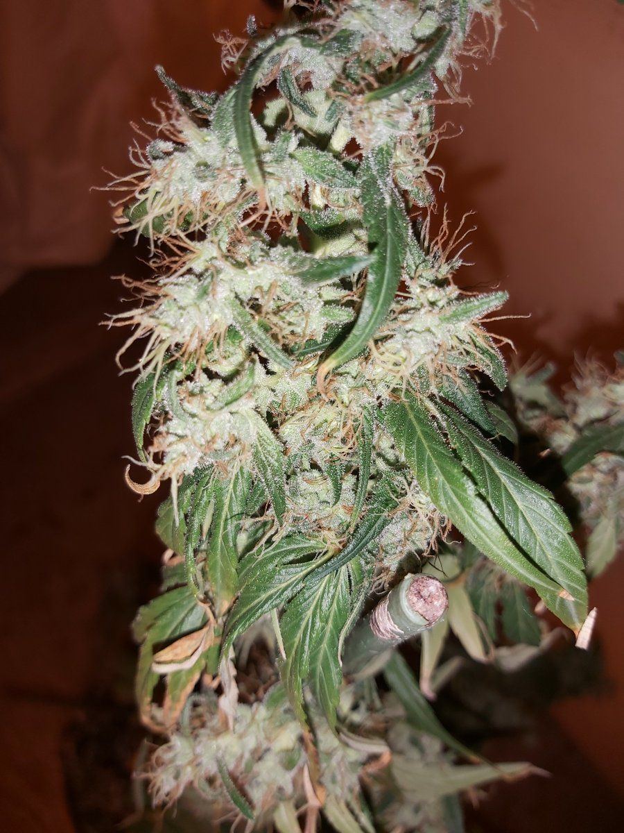 20201227 220339