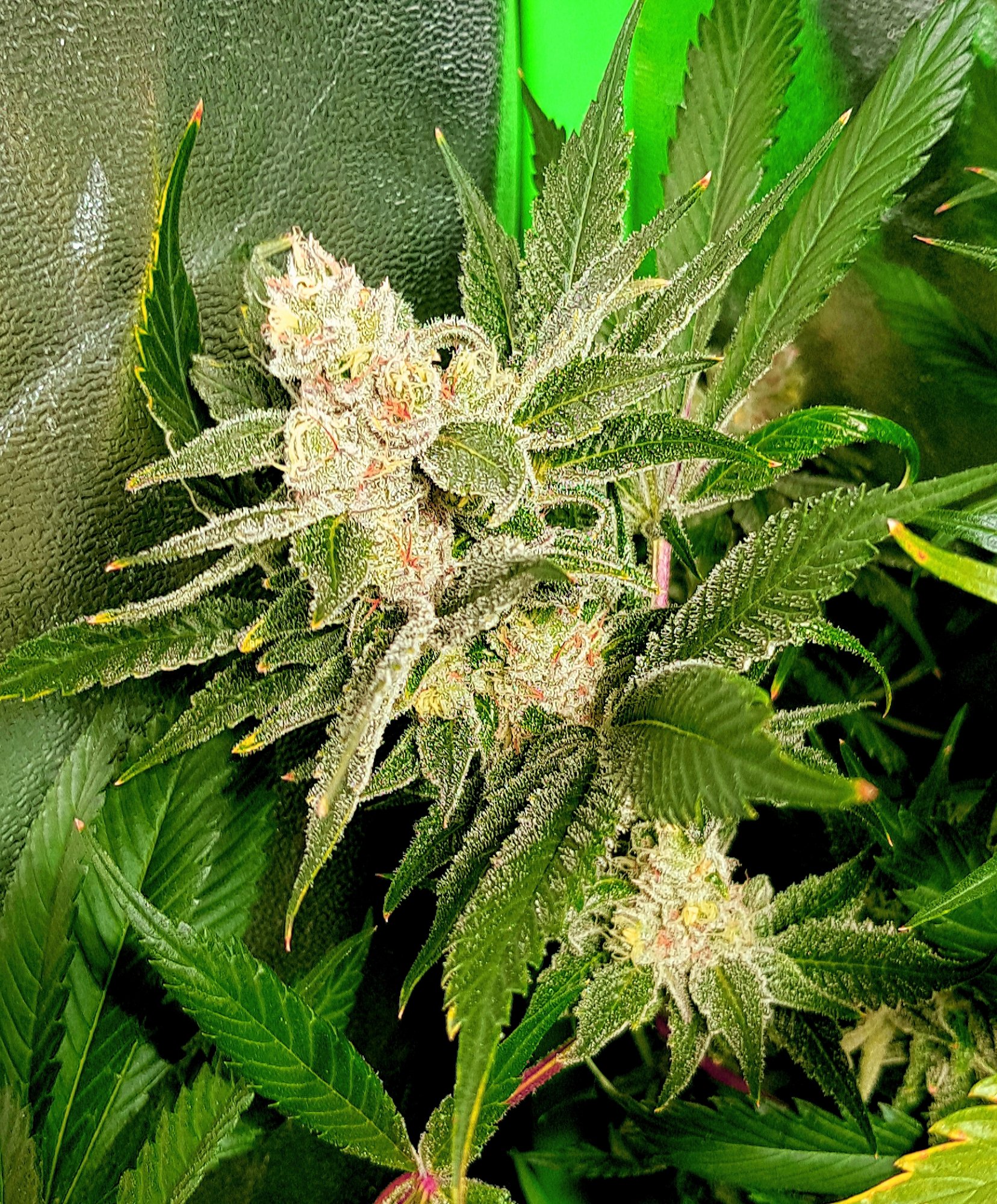 20201229 231818