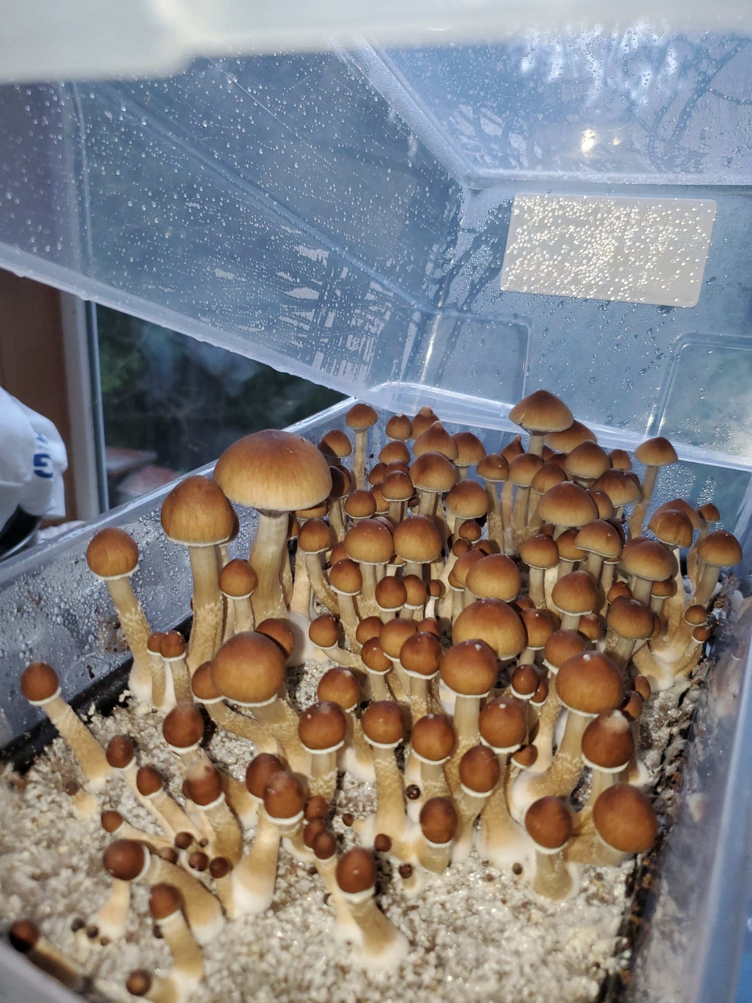 20201230 102056