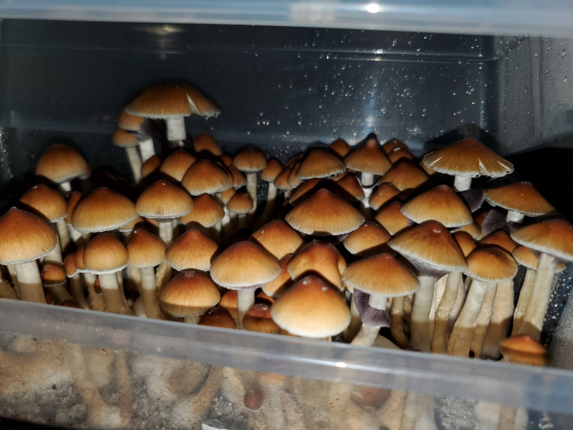 20201230 160025