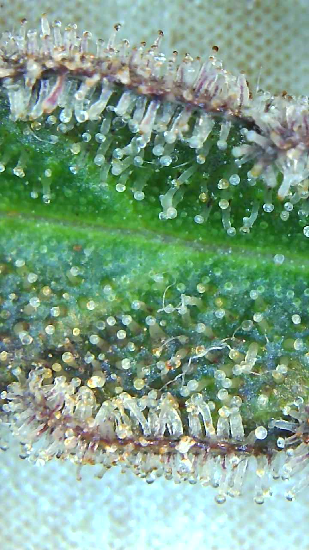 2021 01 04 105644